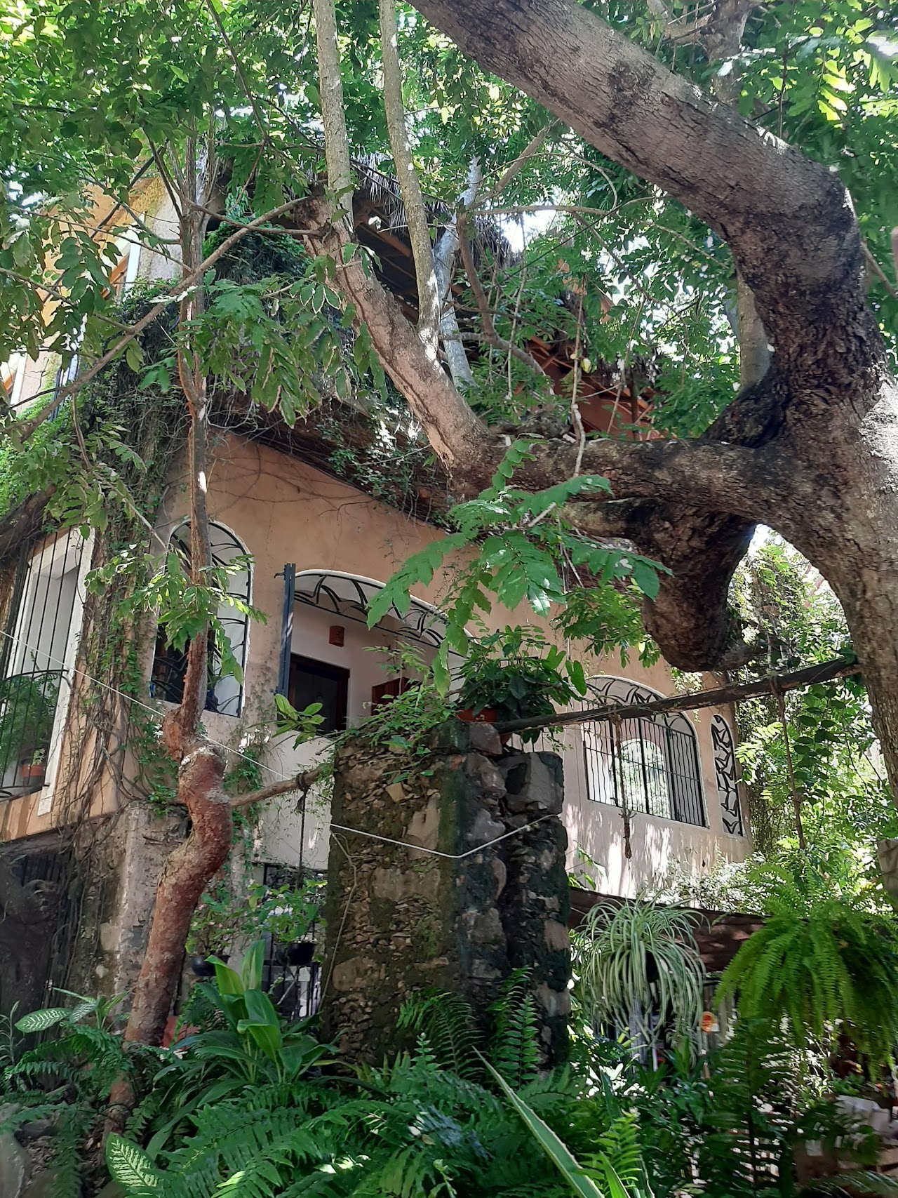 Casa Mágica
