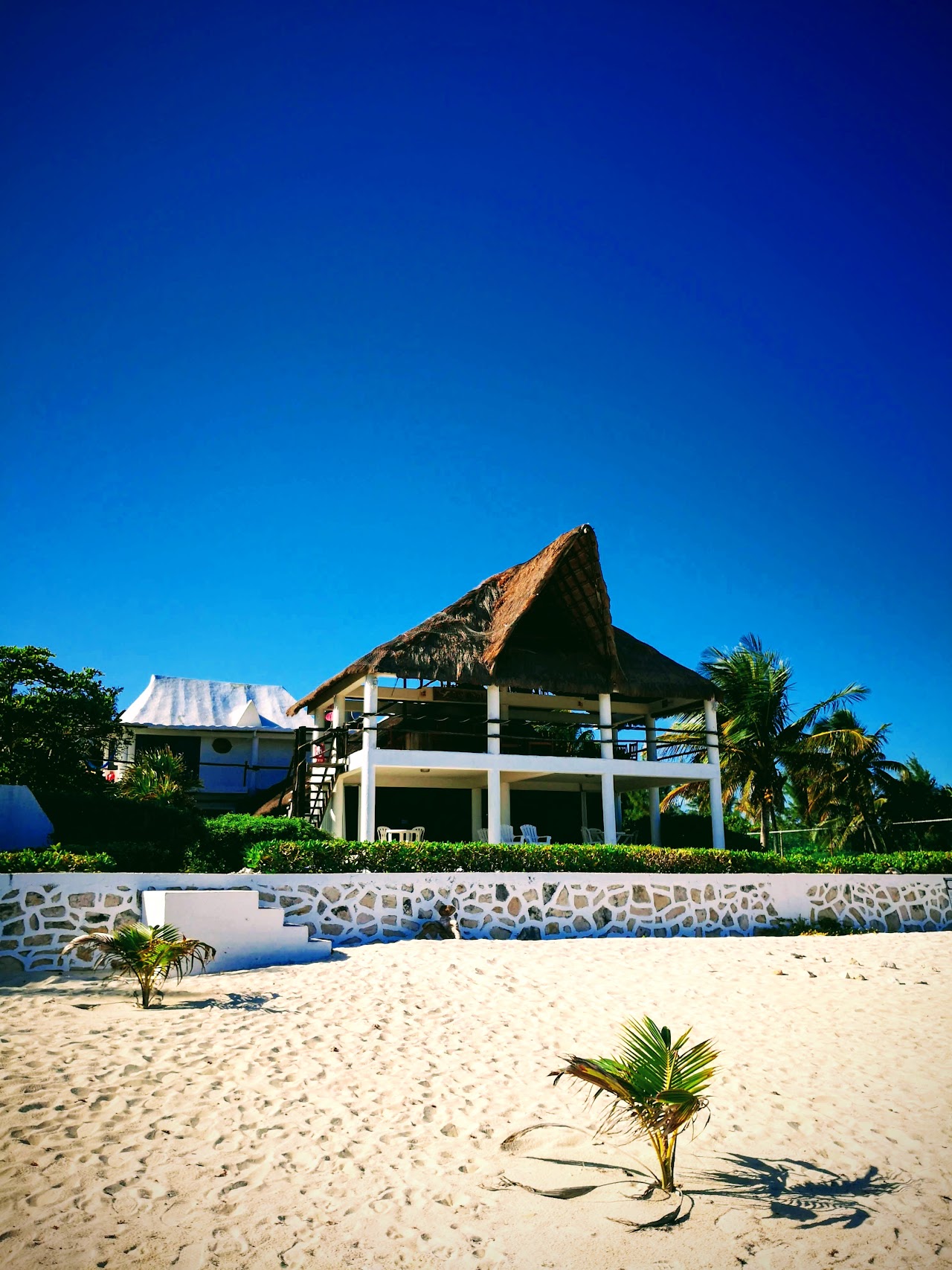 Caribbean Reef Villas Puerto Morelos