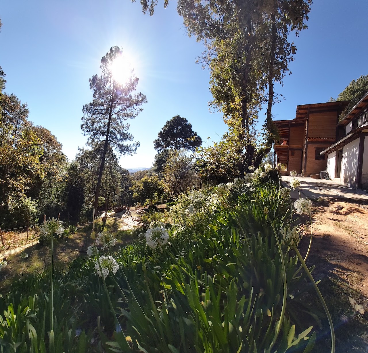 Hotel Taite Caivana