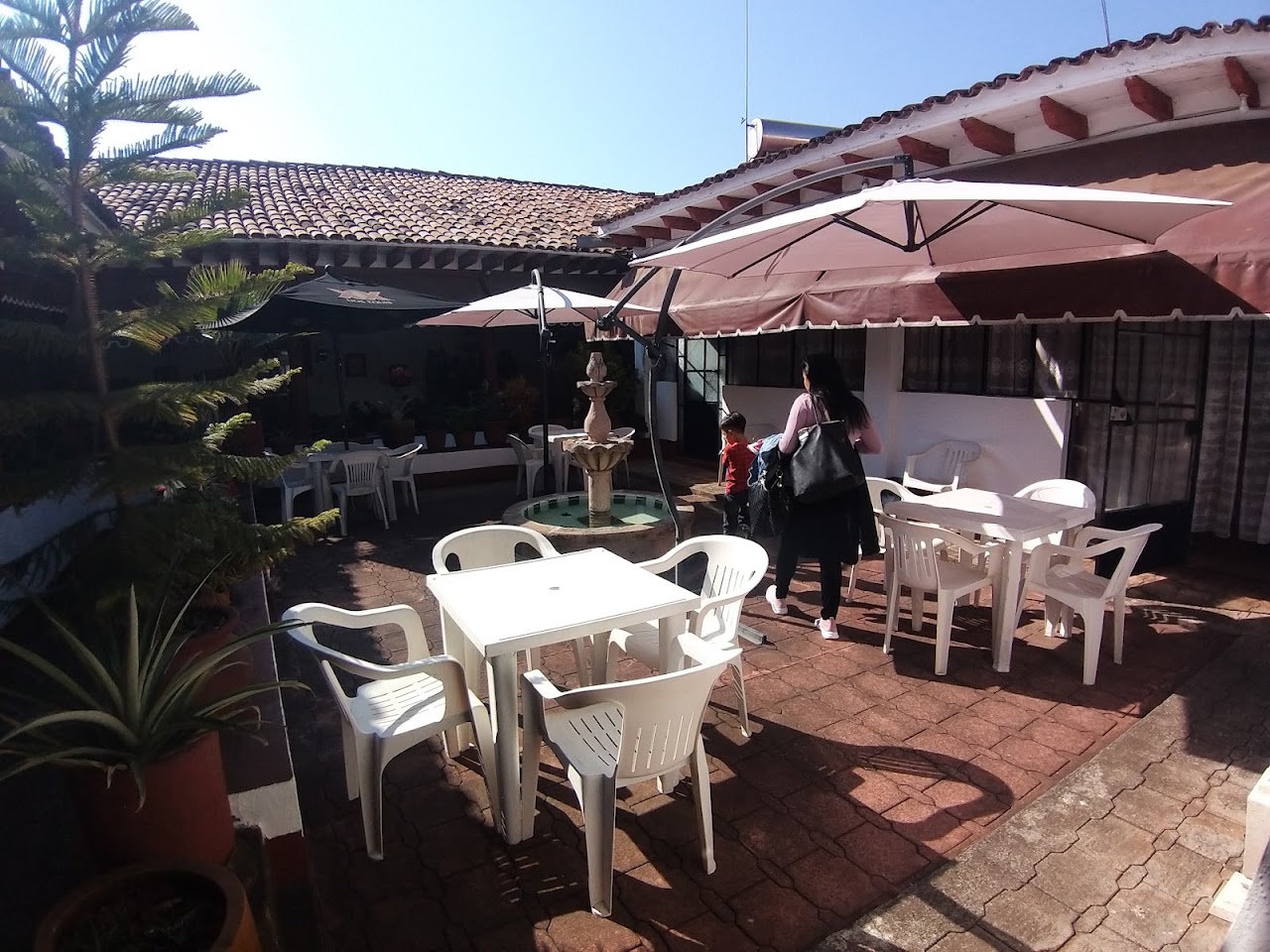 Hotel Posada del Carmen