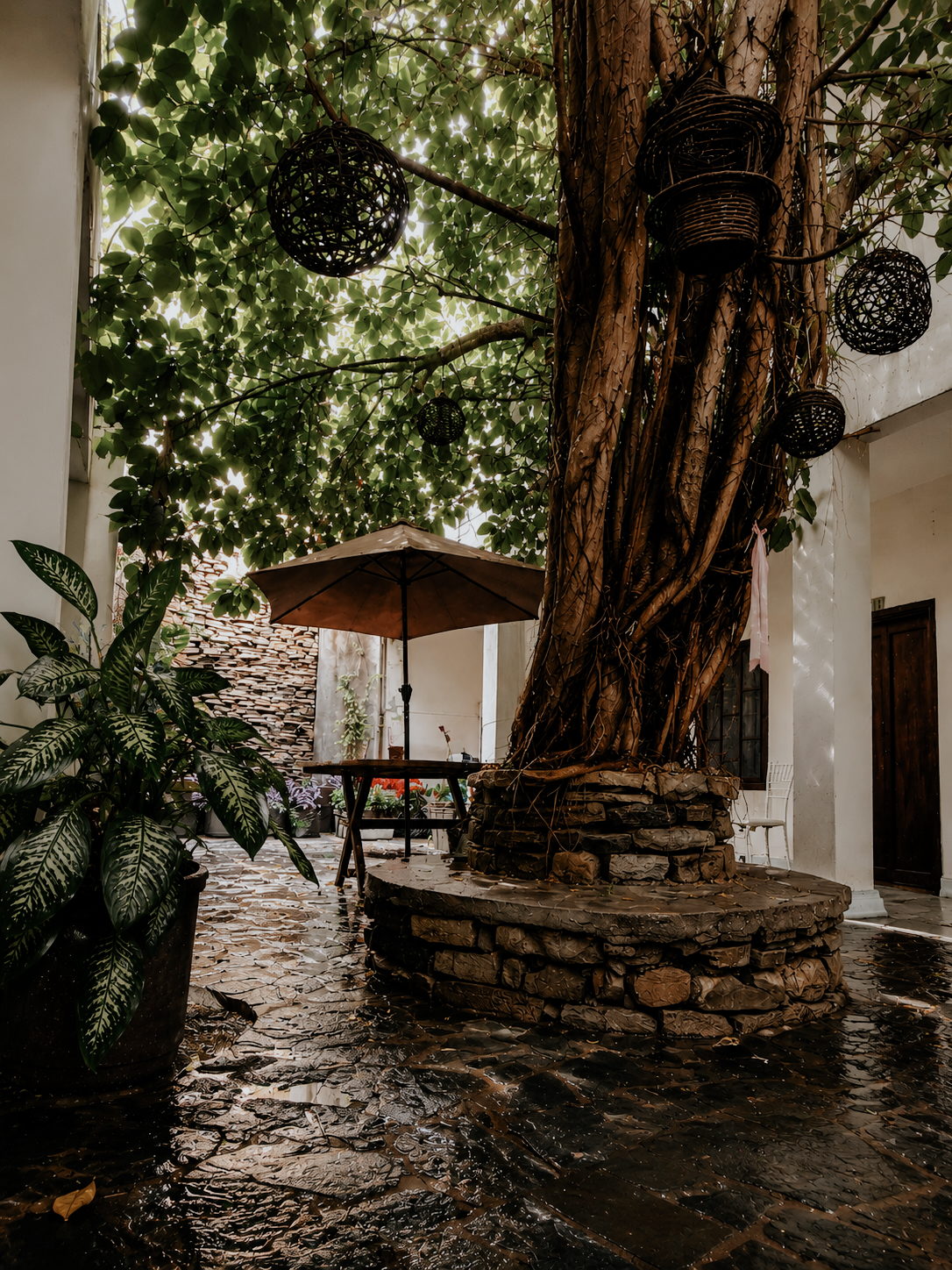 Hotel Puerta De Jade
