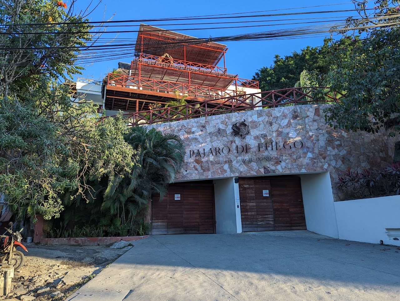 Pajaro de fuego