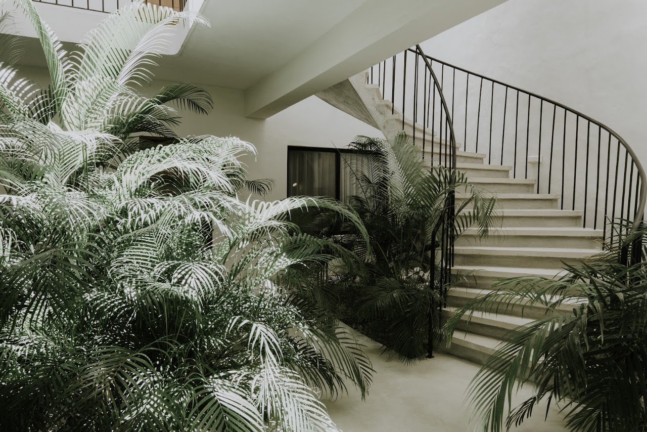 Hotel Aurora Holbox