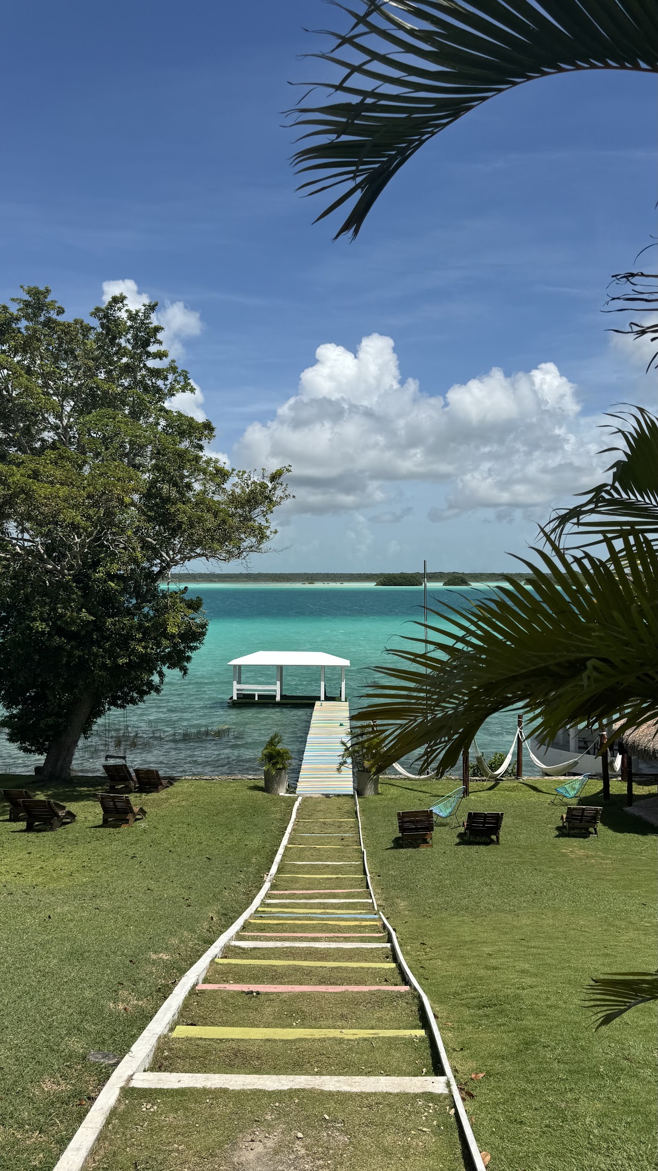 TROPIC BACALAR
