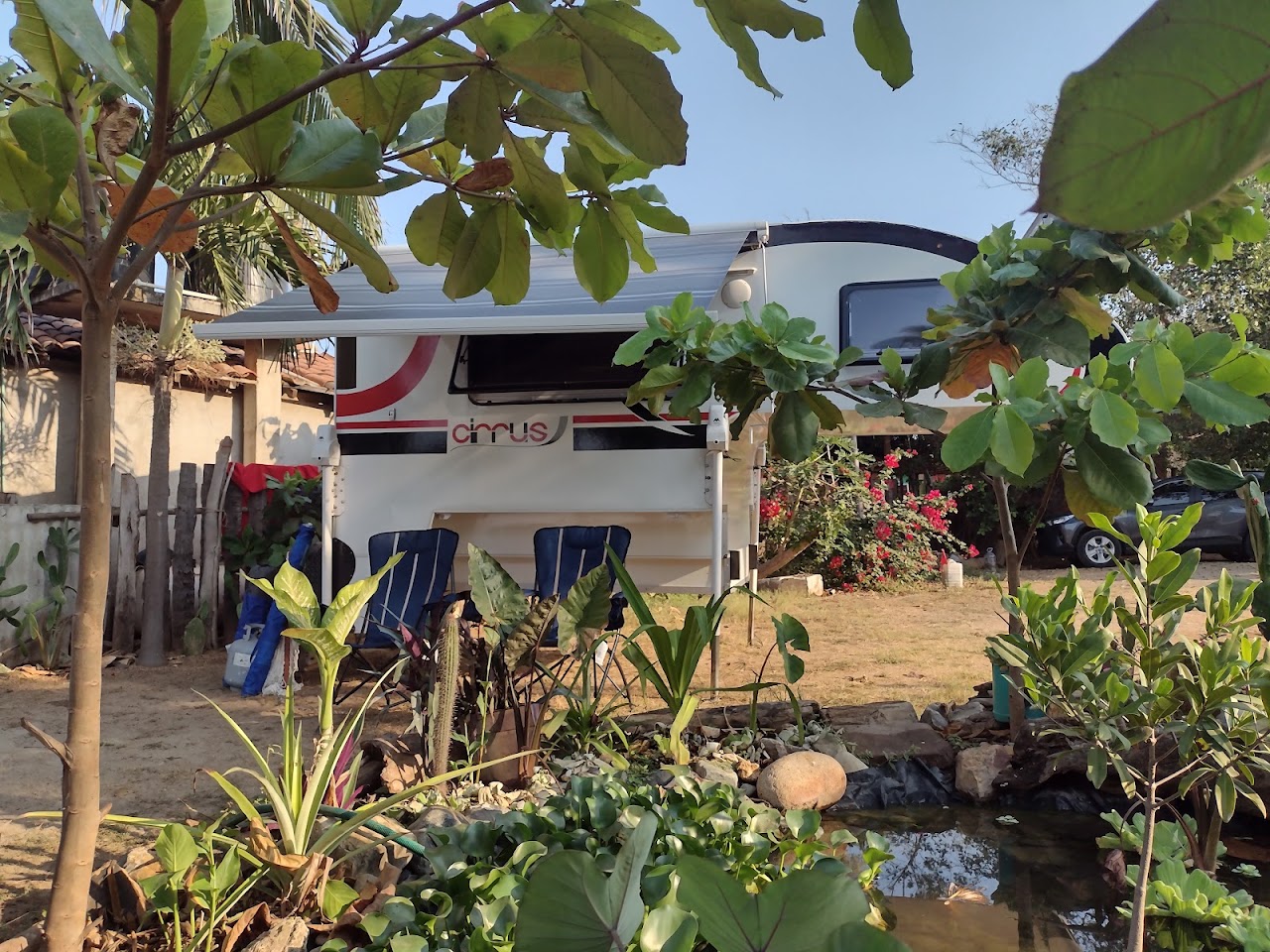 Cámping and Glamping tortuga carey