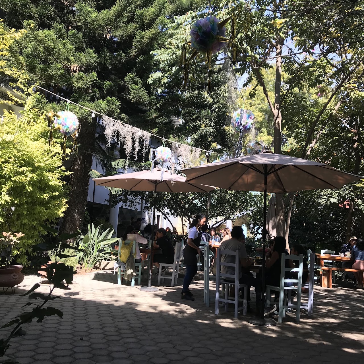 Central Xochimilco