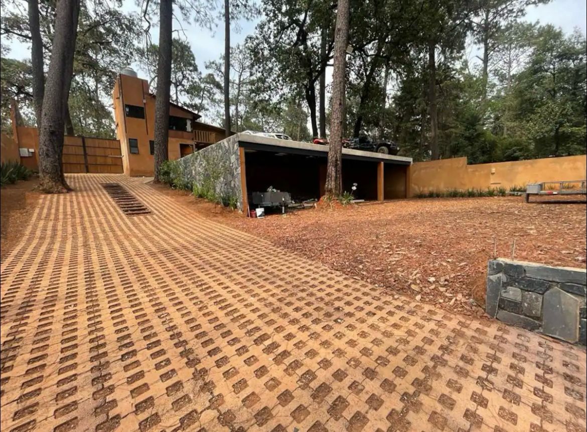 Bosque de Avandaro