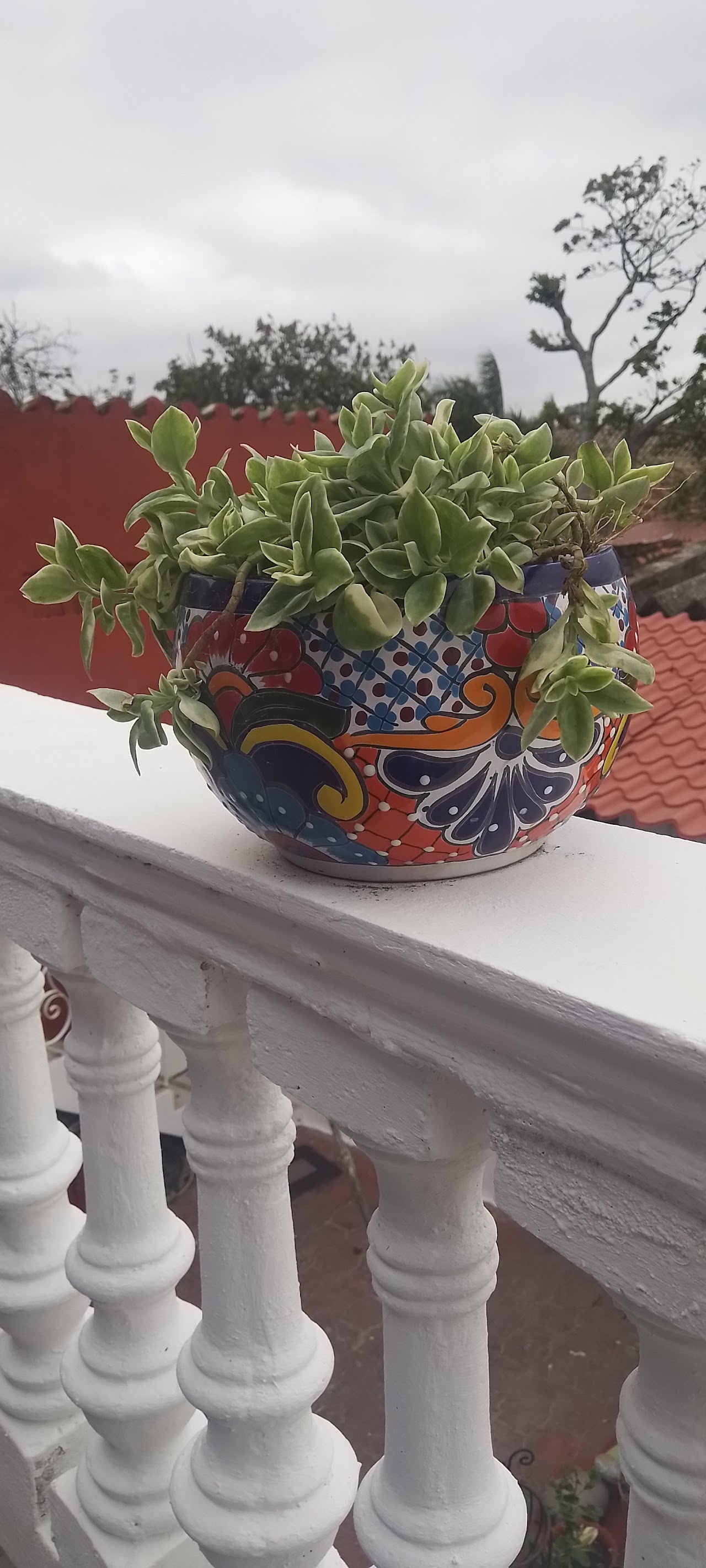 Posada doña soco