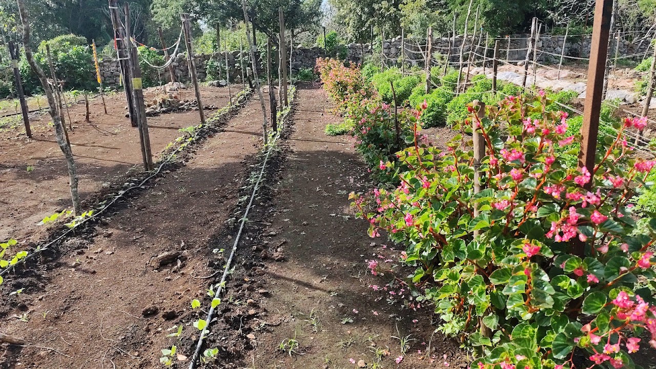 Hacienda Katanchel
