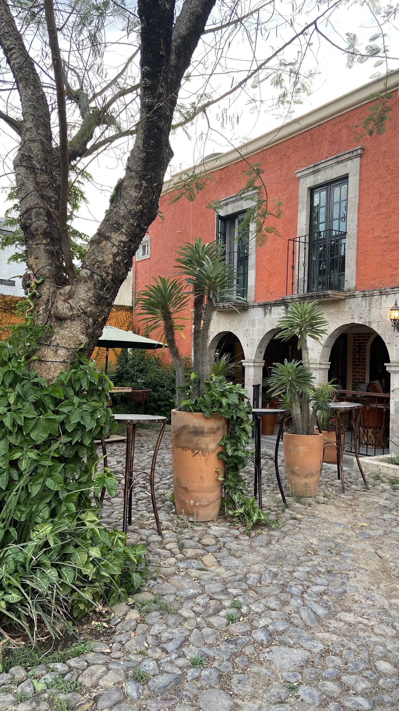 Hotel Boutique Real Tequila