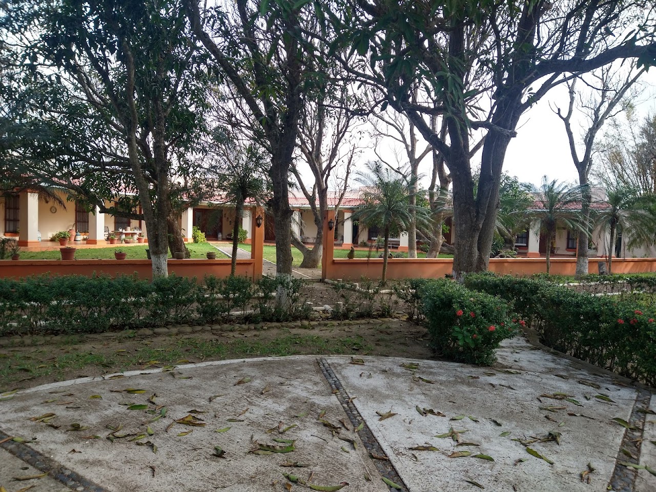 Hotel Aromas