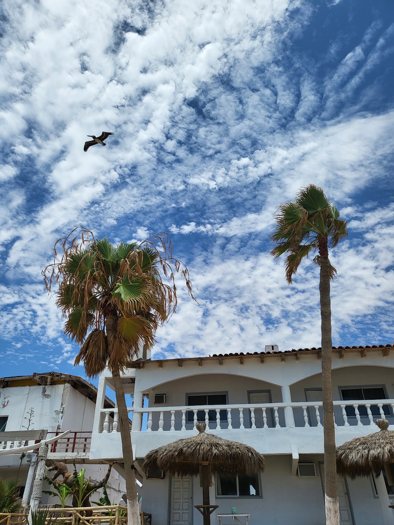 Granada Del Mar