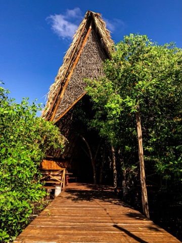 Caiman Habitat Boutique Hotel & OndaLinda Wellness Center | Tulum Beach