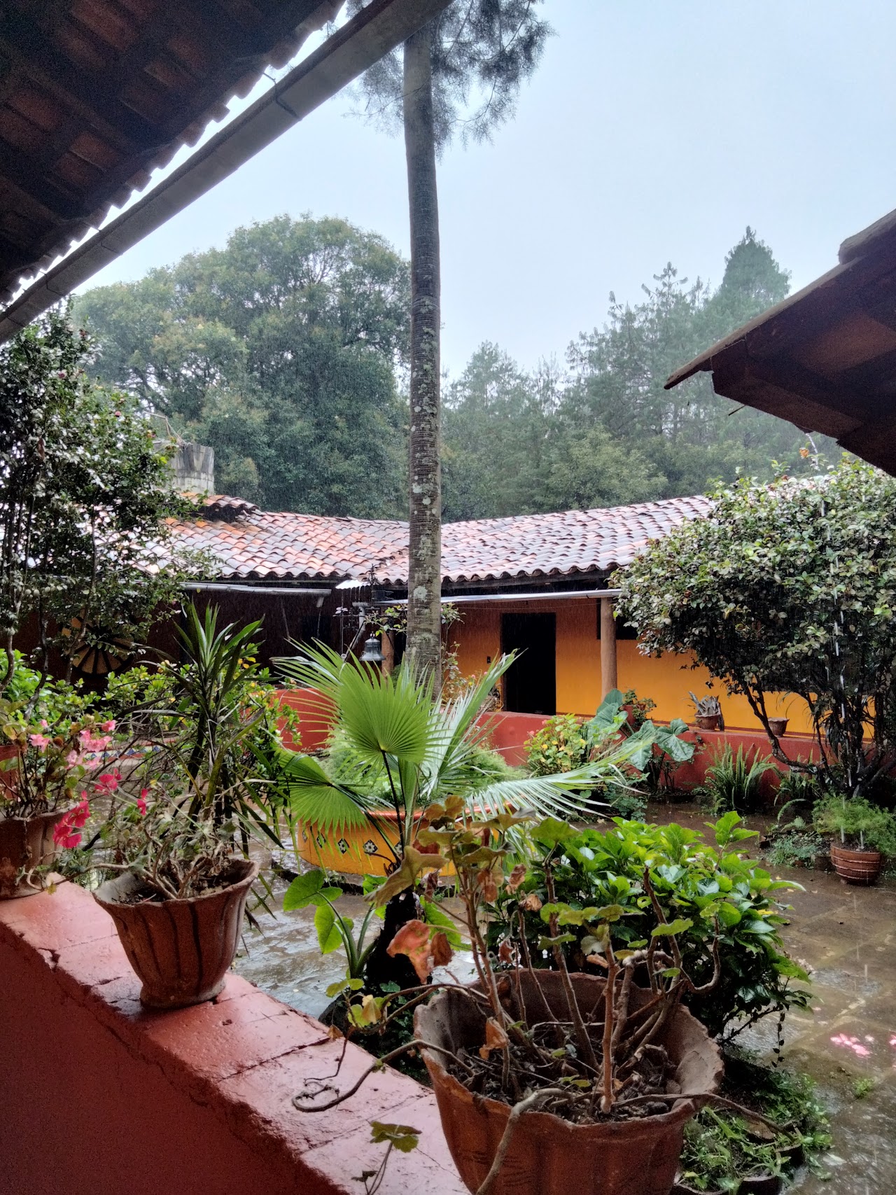Cabañas Los Cedros