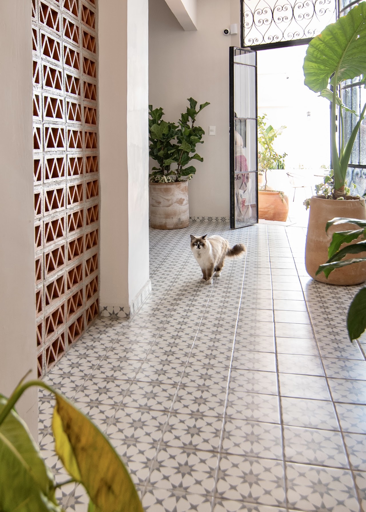 Casa Irake