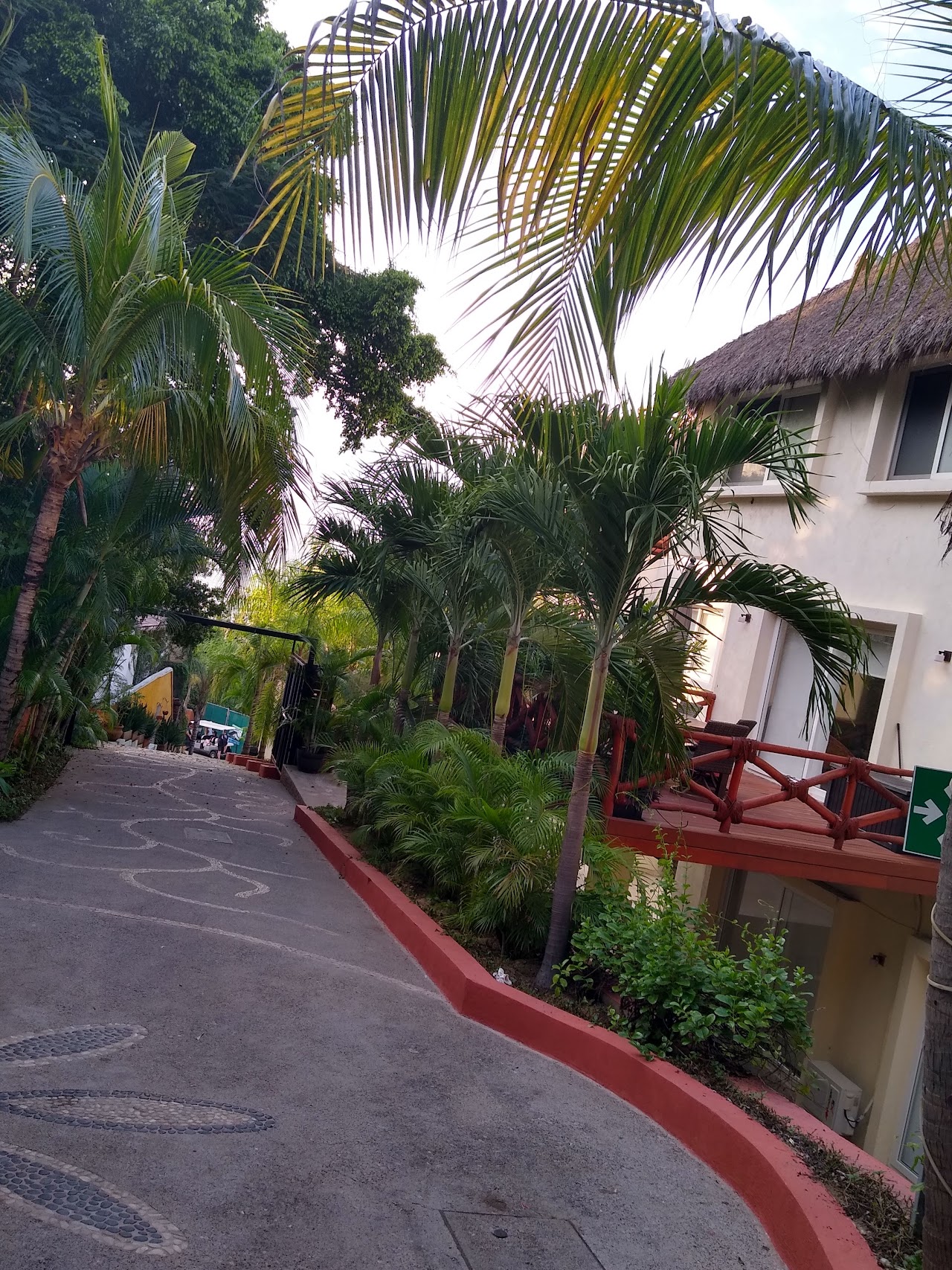 The Phoenix Sayulita