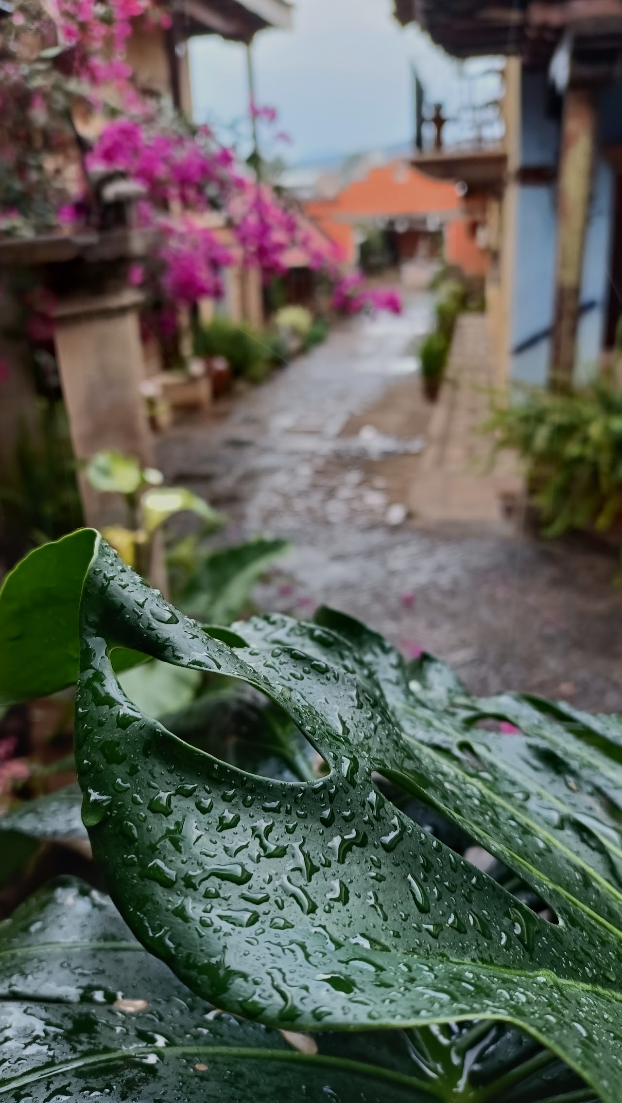 Hotel Casa Cleo