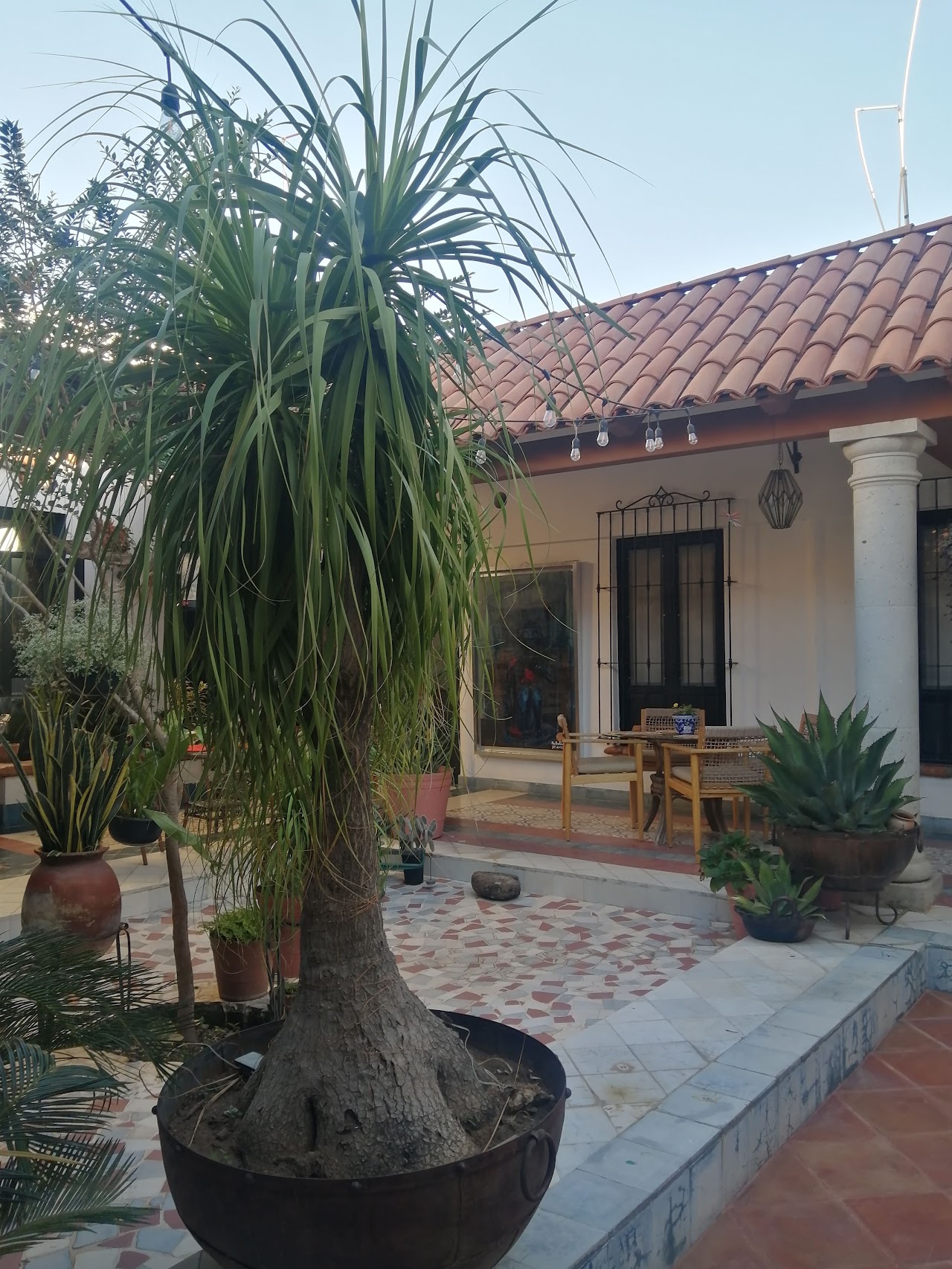 Casa Amatl Hotel Galeria