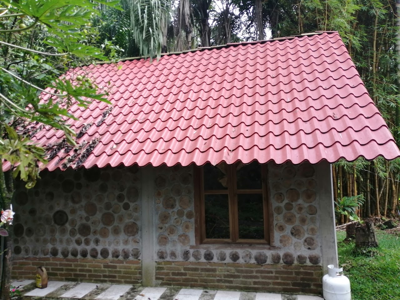 Cabañas San Miguel