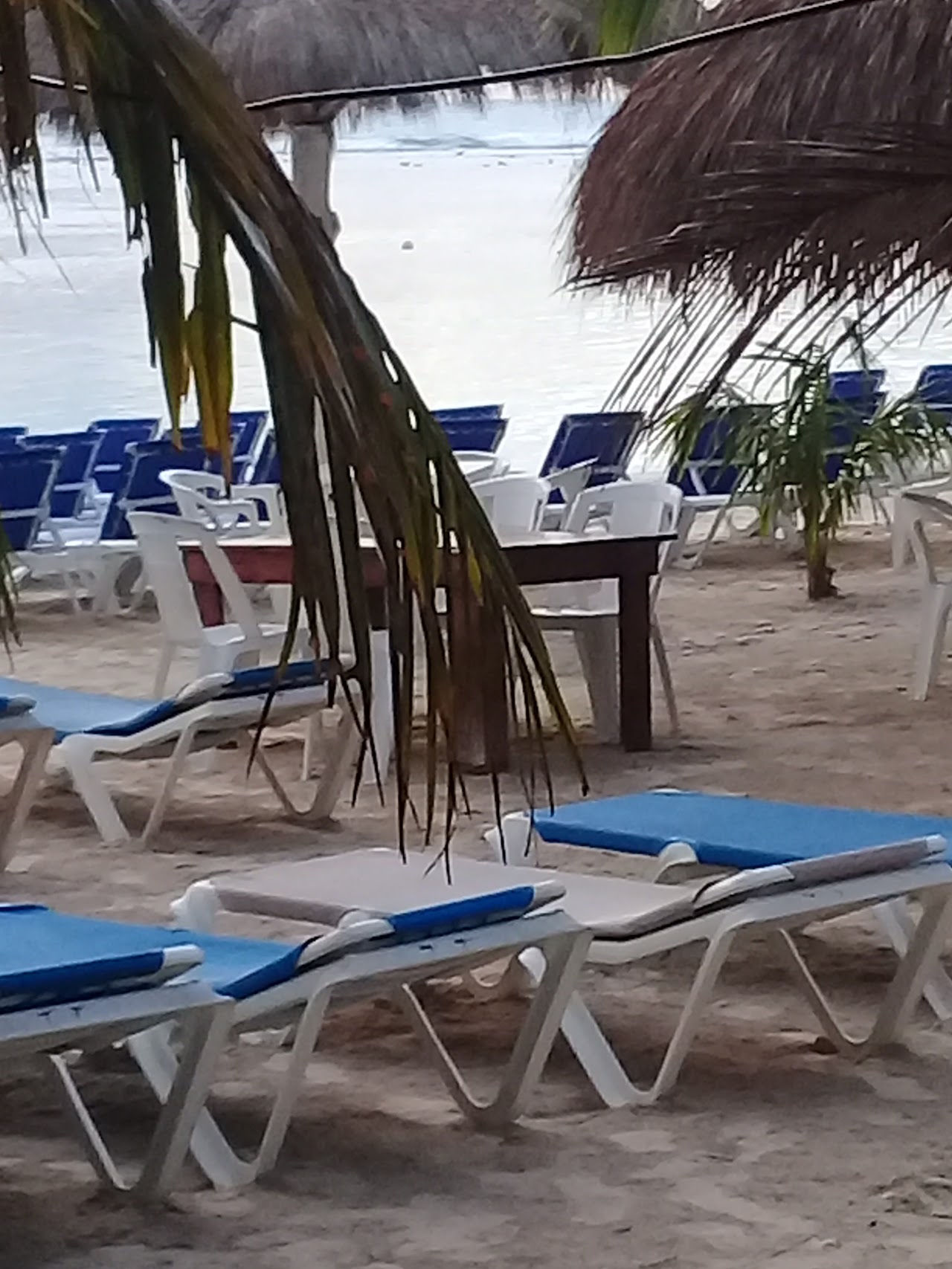 Oxtankah Club de playa Mahahual