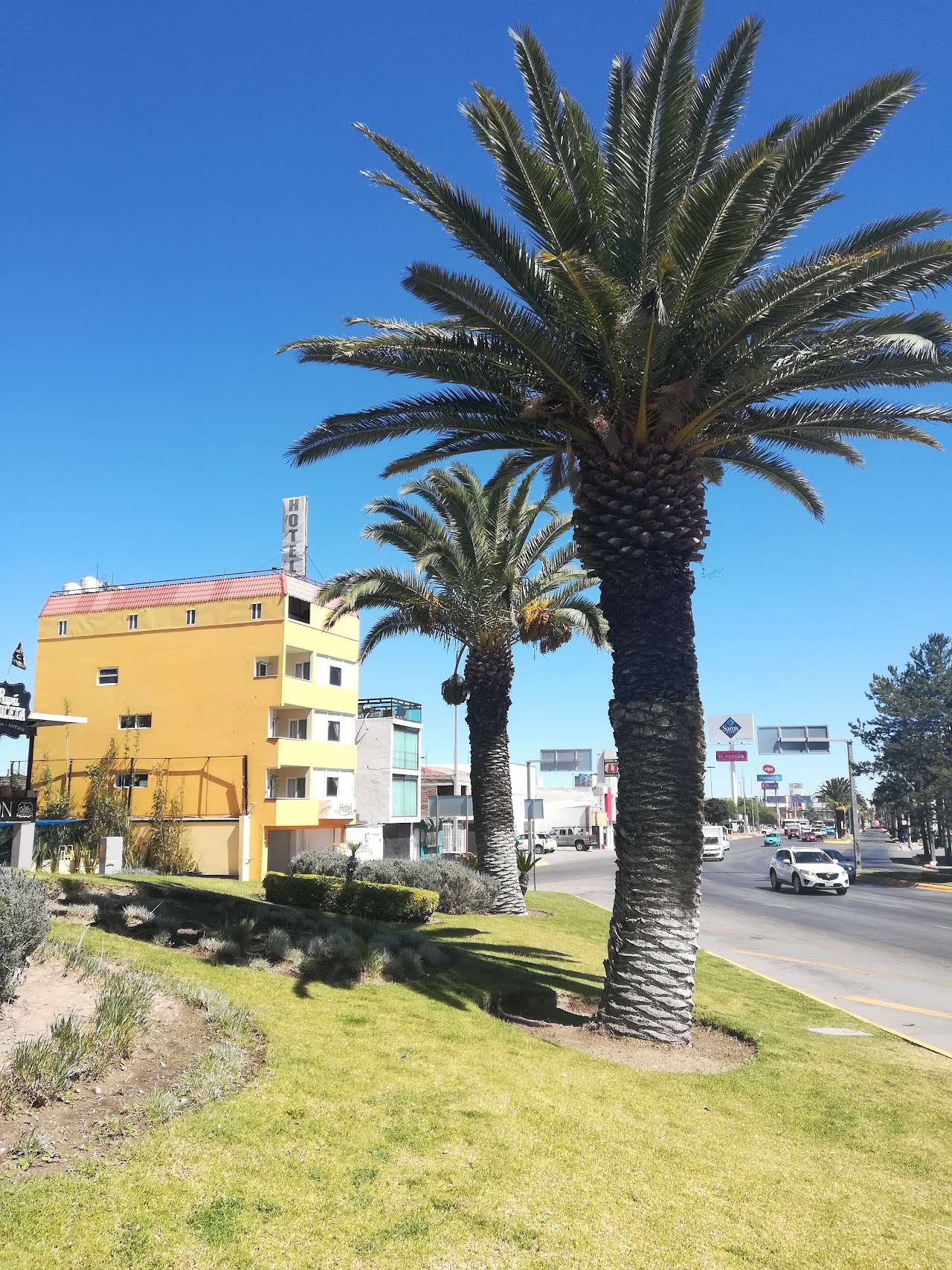 Hotel Paseo