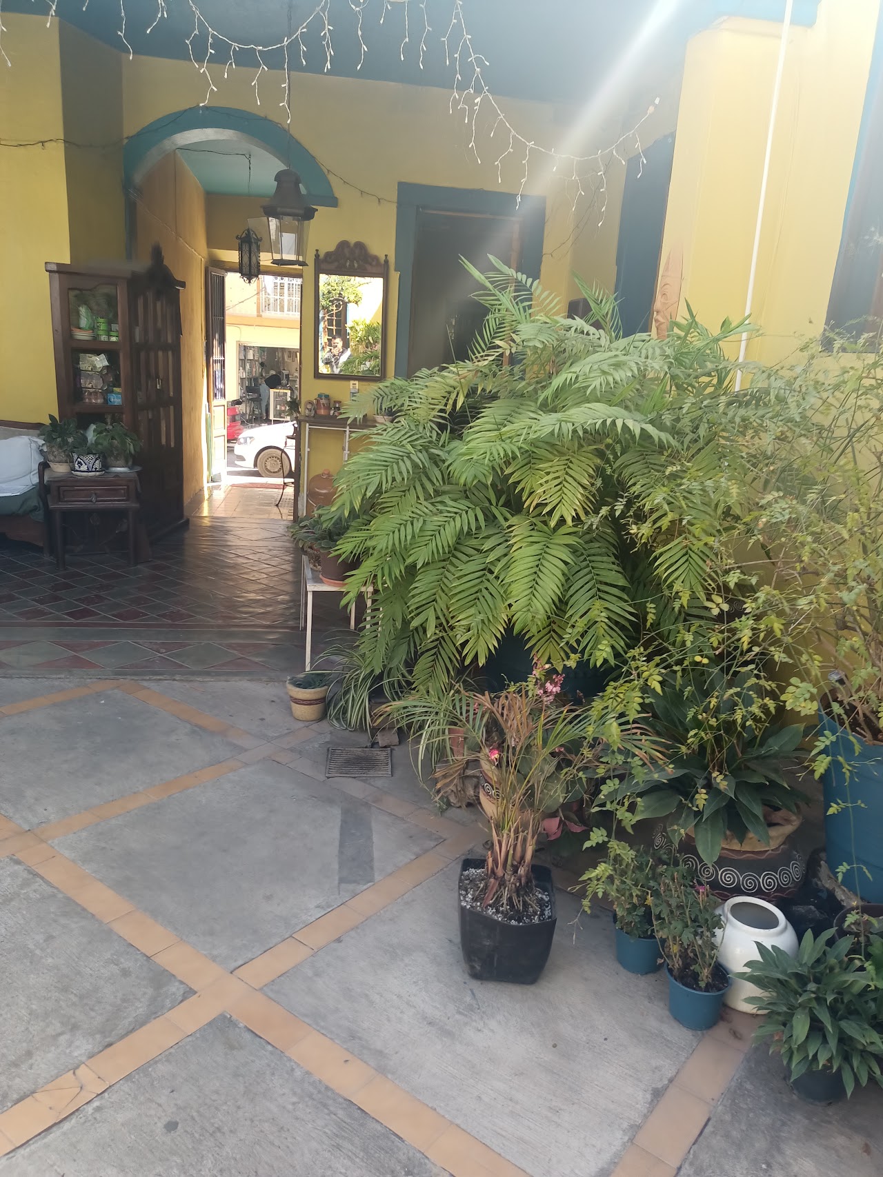 Hotel Villa Samary