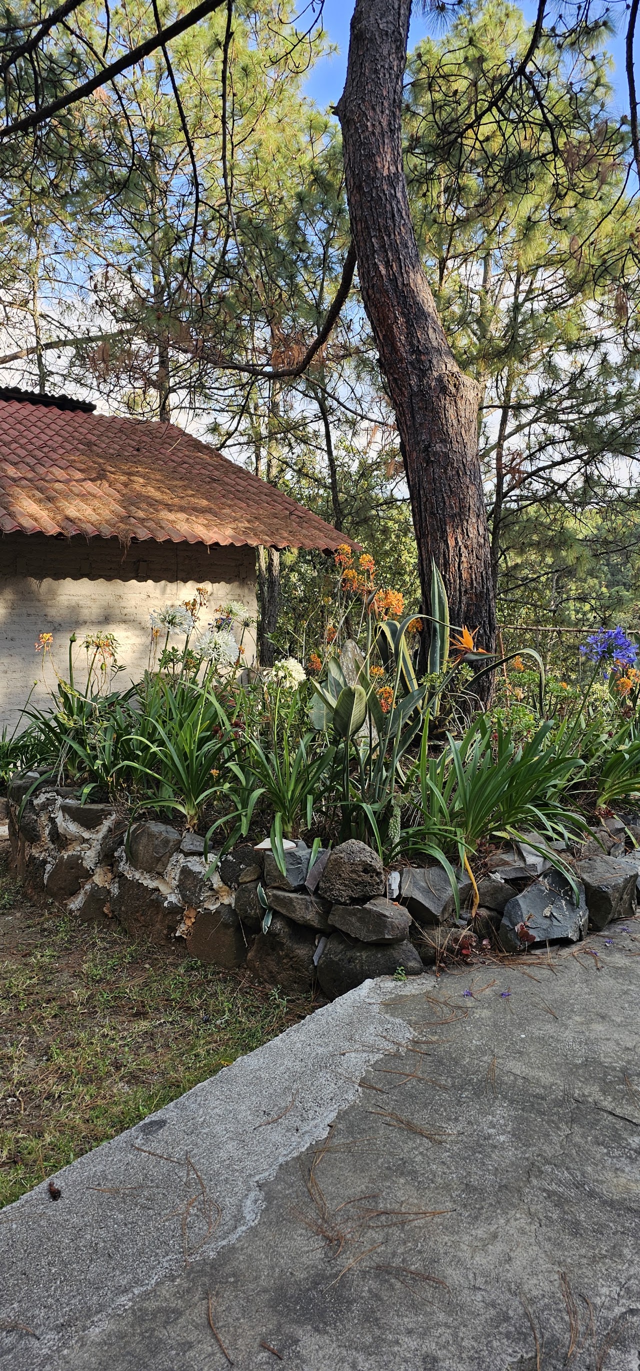 Cabañas en Mazamitla