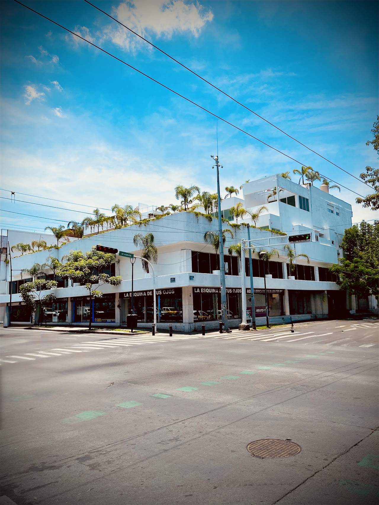 La casa de las palmeras