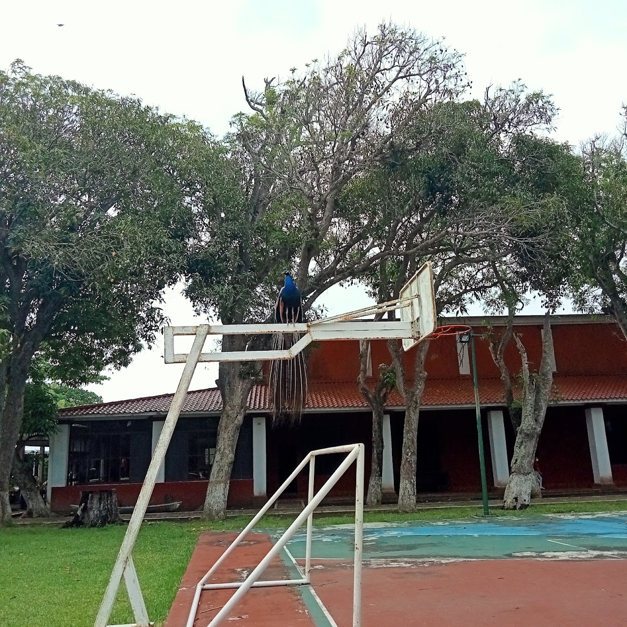 Campestre Doña Moncha