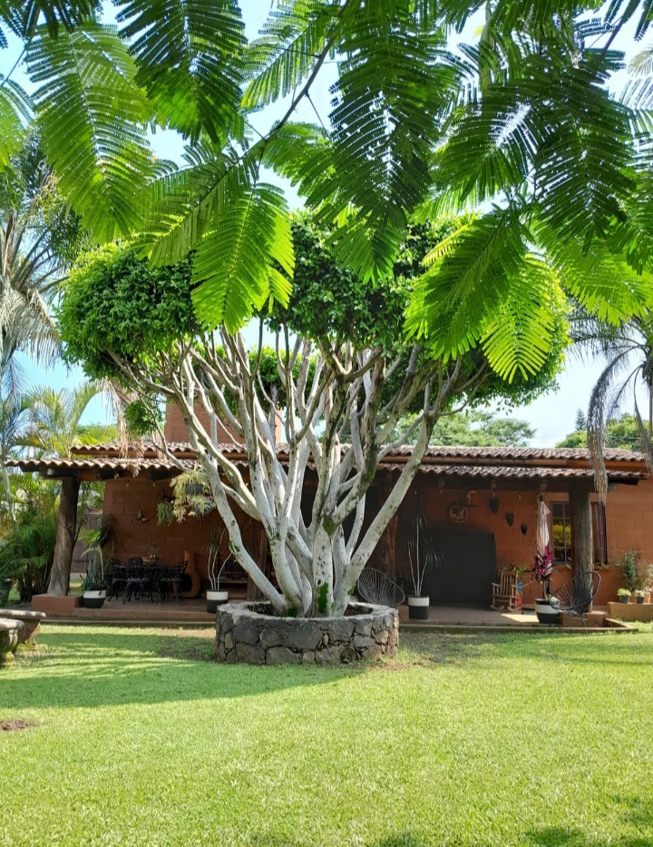 Cabañas Don Diego