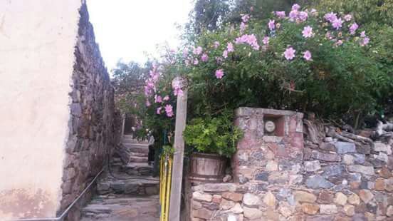 Estrellas de la Montaña