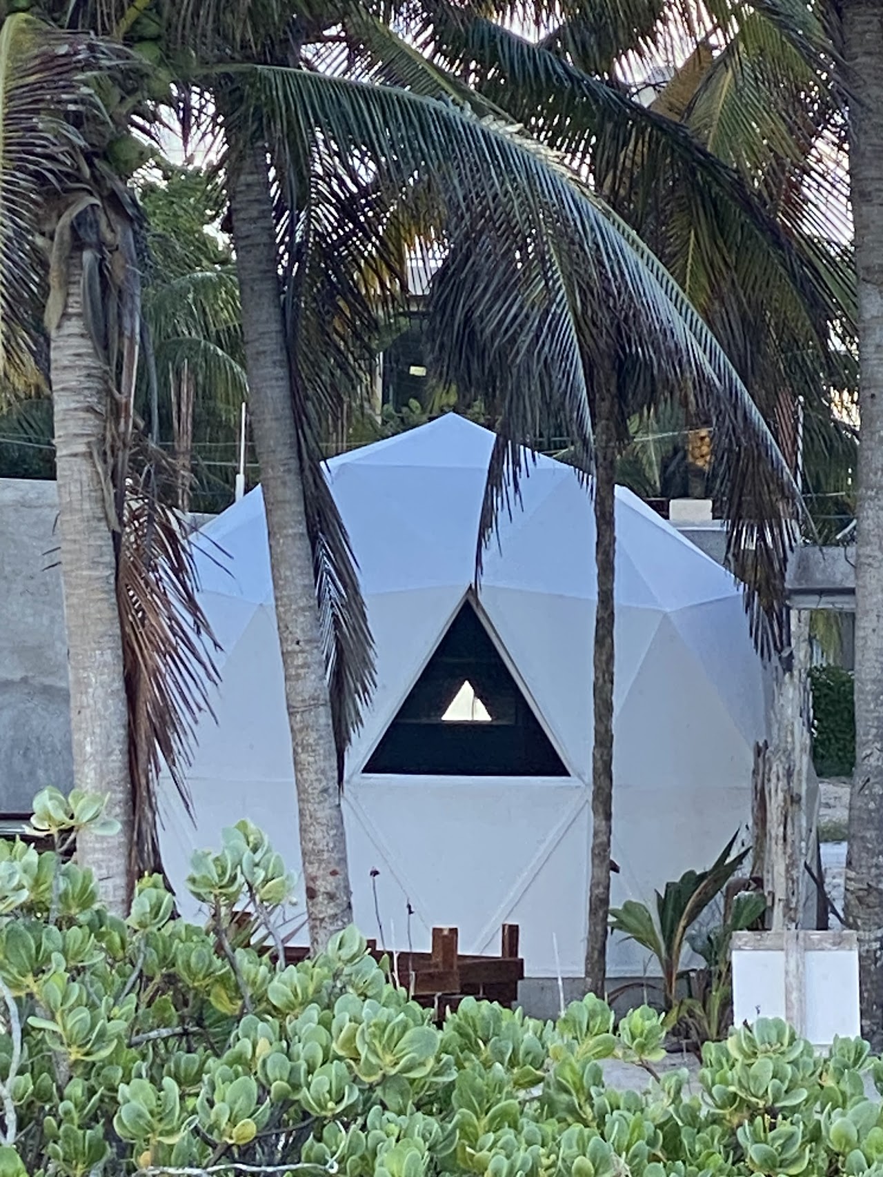 FREQUENCY DOMES