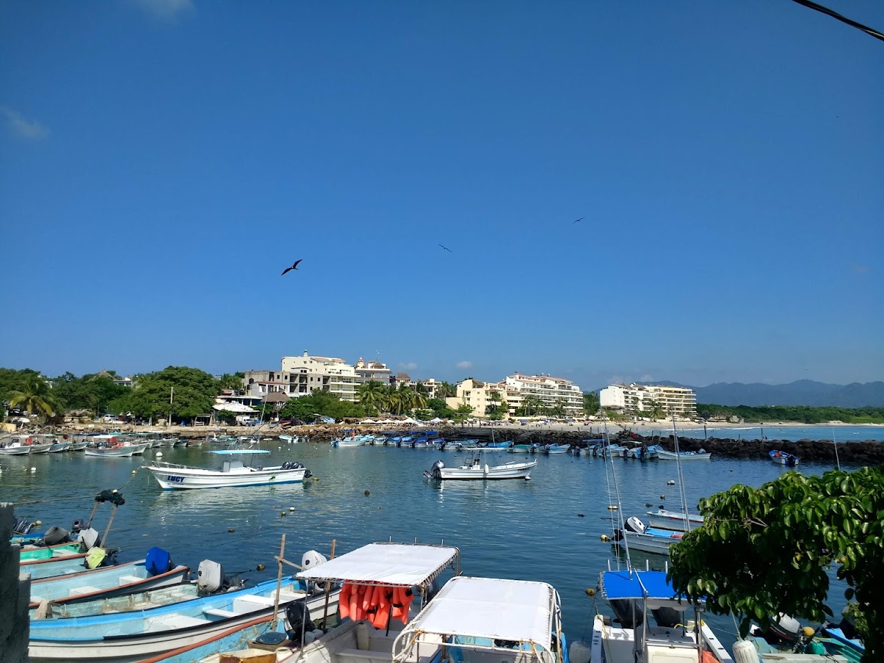 Hotel Punta Mita