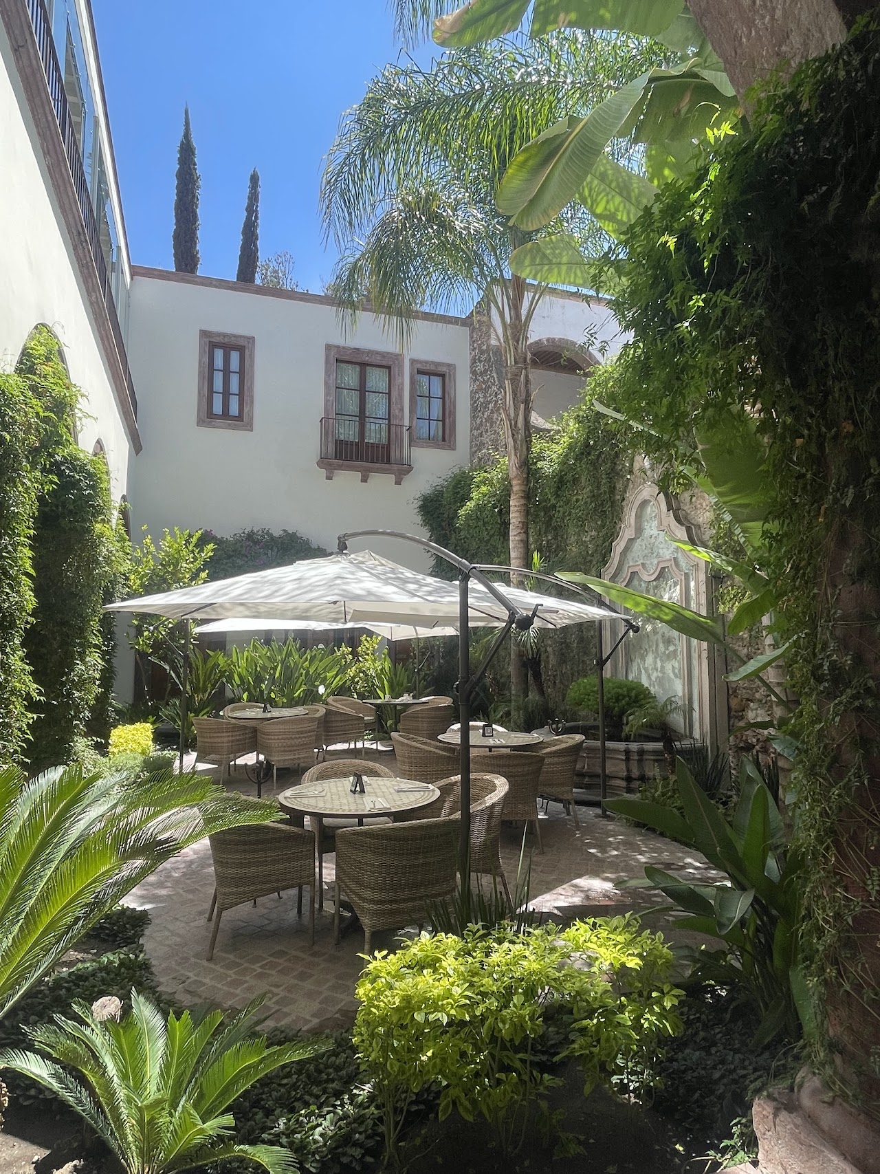 CASA BLANCA 7 | Hotel Boutique en San Miguel de Allende