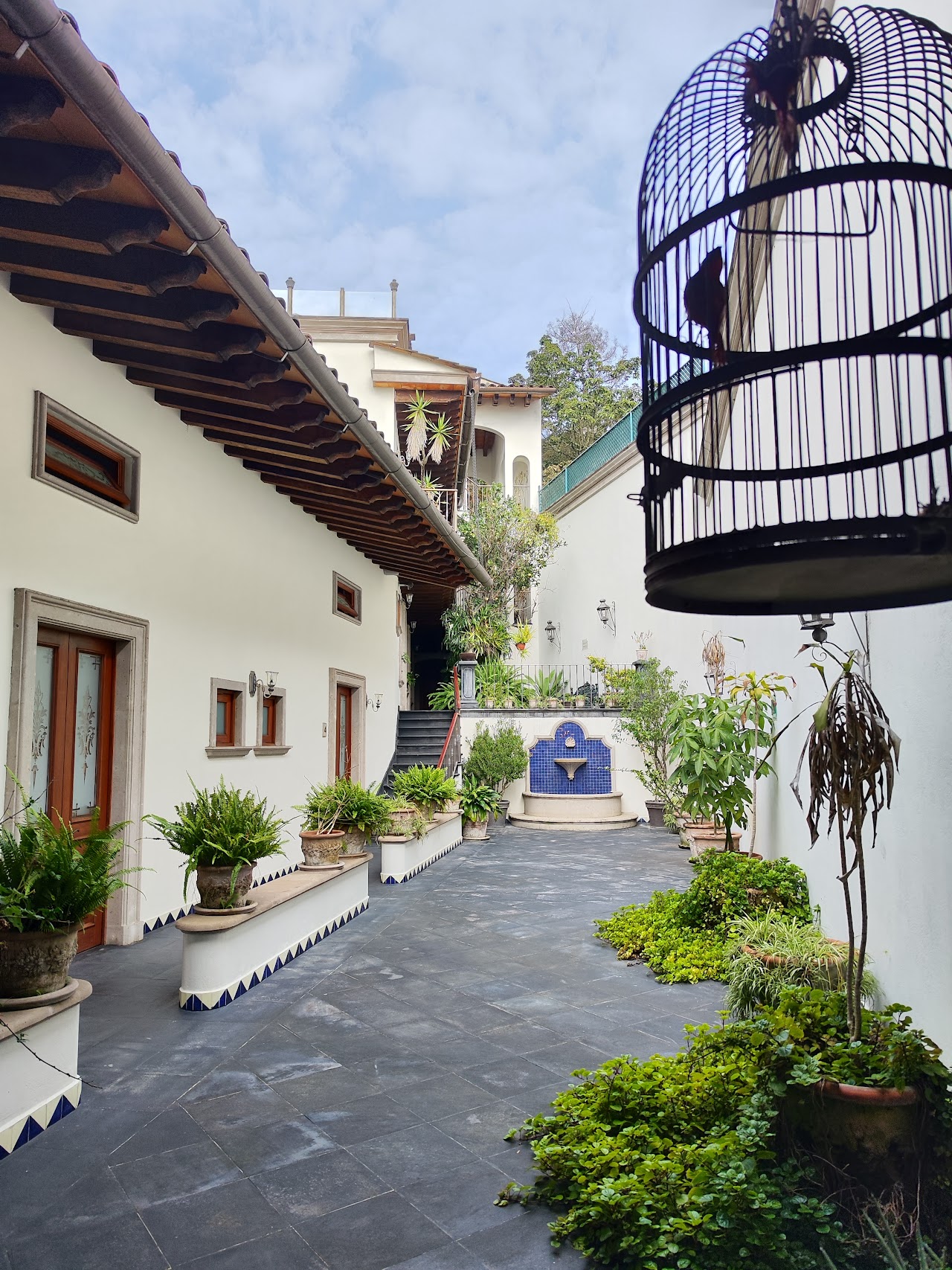 Hotel Posada de las Flores Xalapa