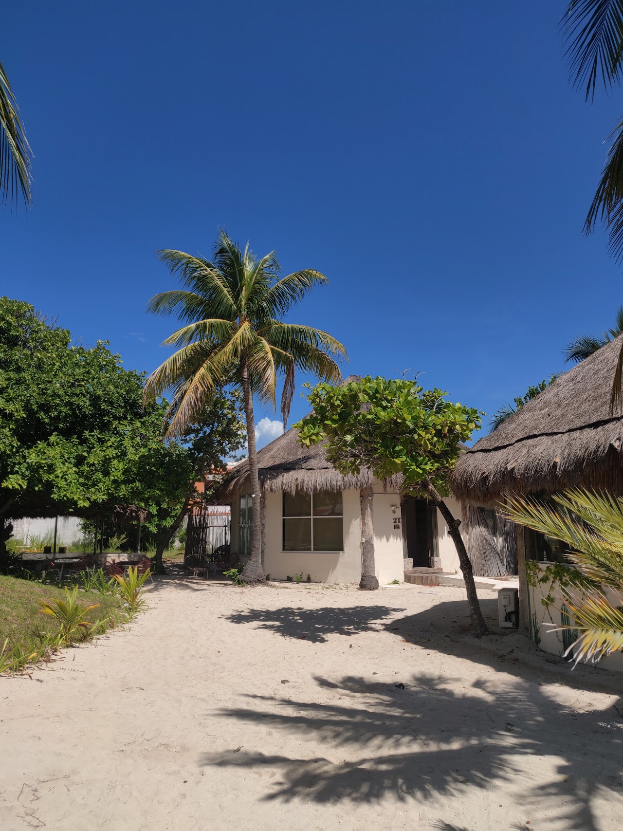 Hotel Paradise Garden (Suites)