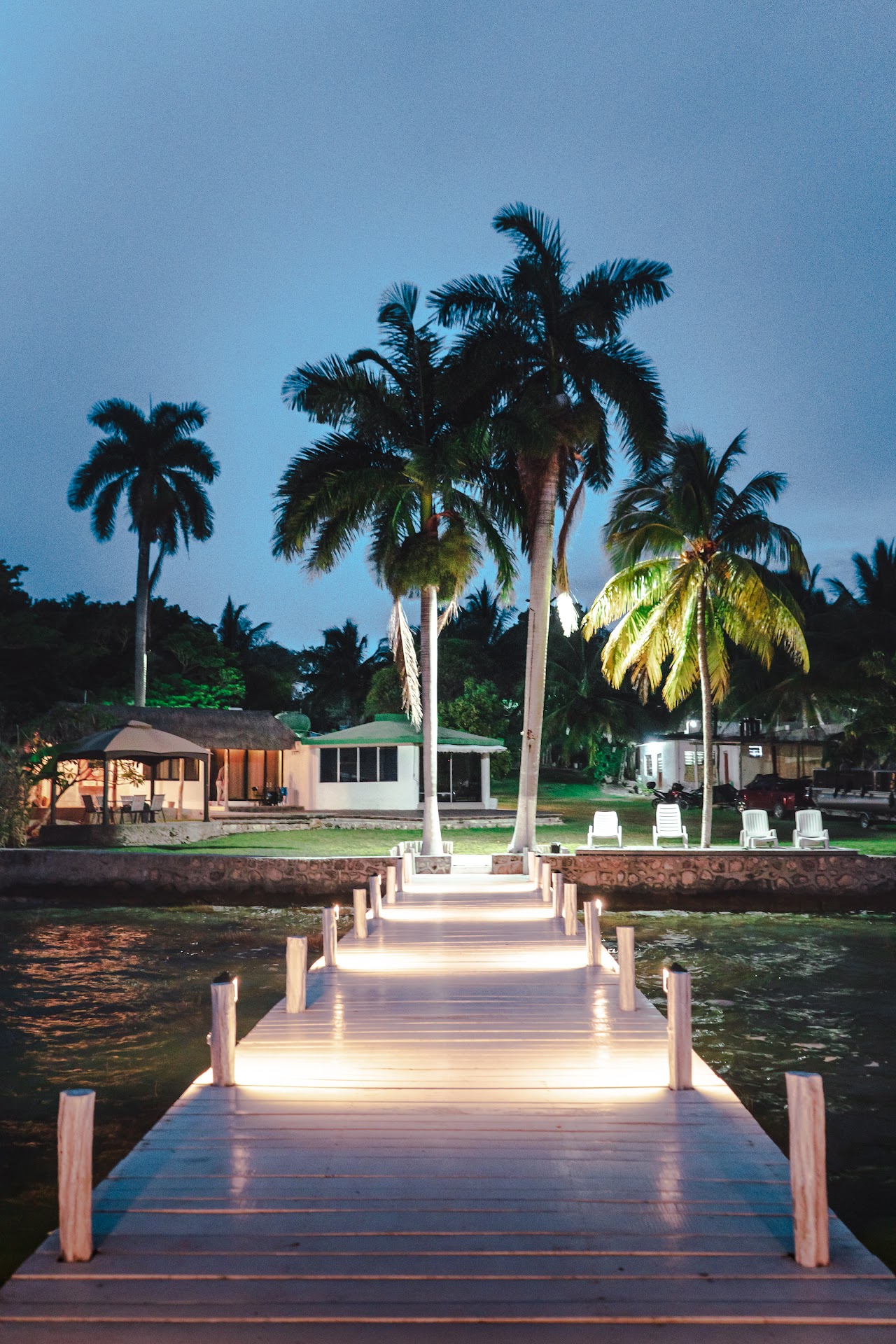 Royal Palm Bacalar