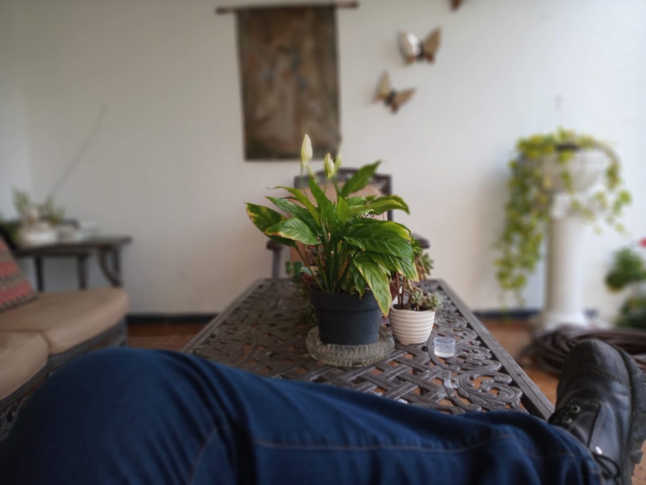 Hostal guadalajara cosmopolitan providencia