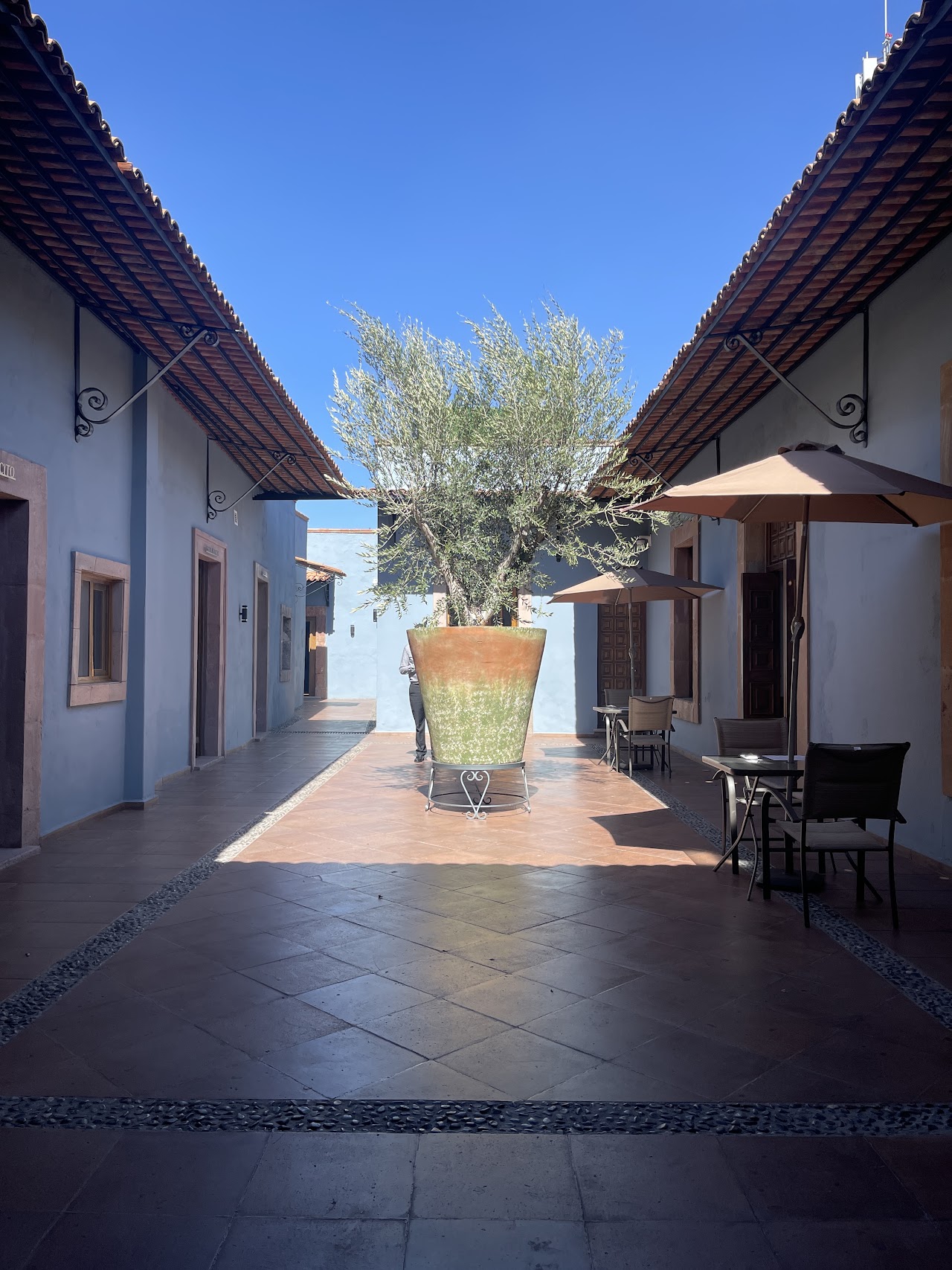 Hotel Úrsula Concept
