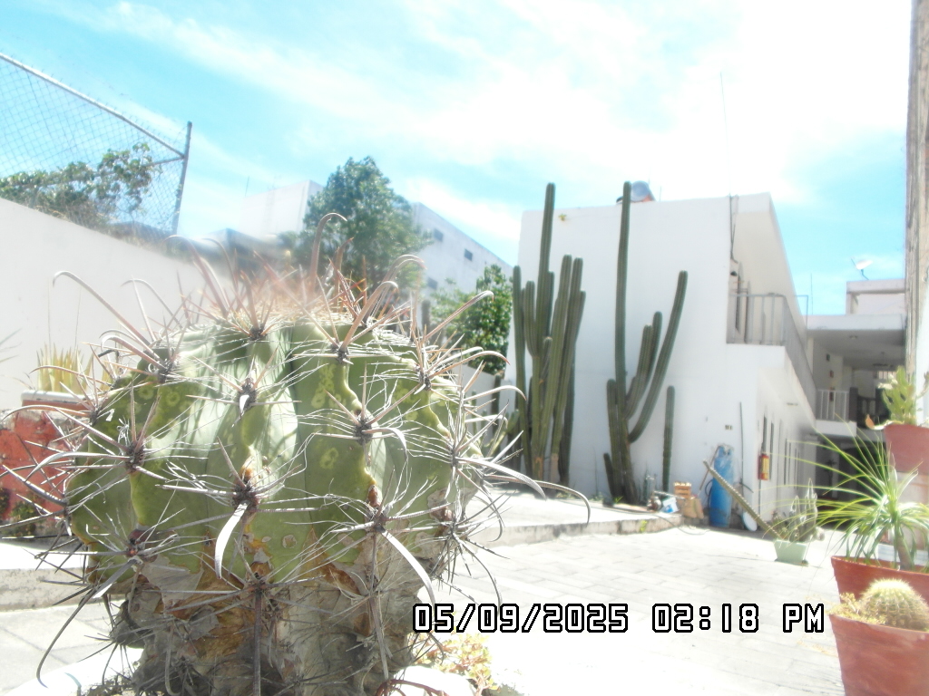 Hotel Posada San Luis