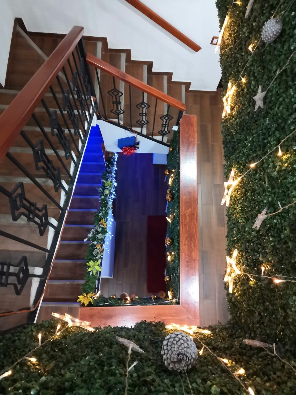 HOTEL CASA SILVESTRE