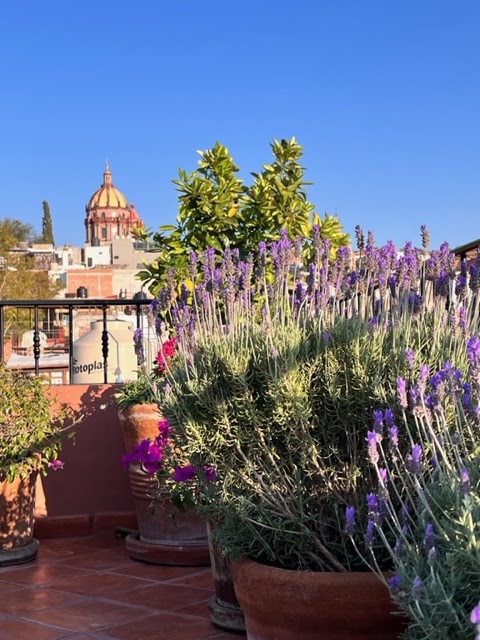 Casa Goldy