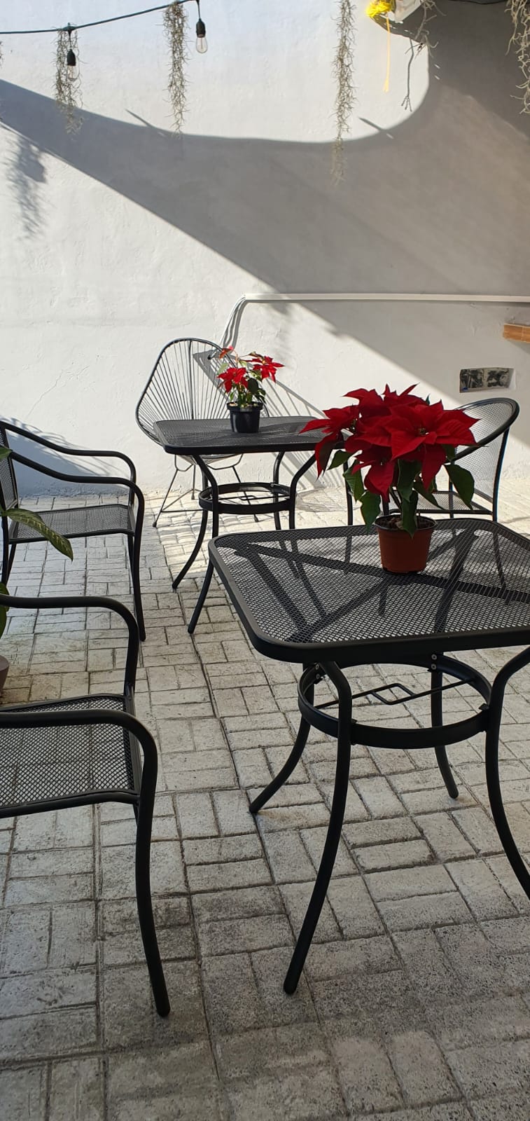 Hotel Terraza 16