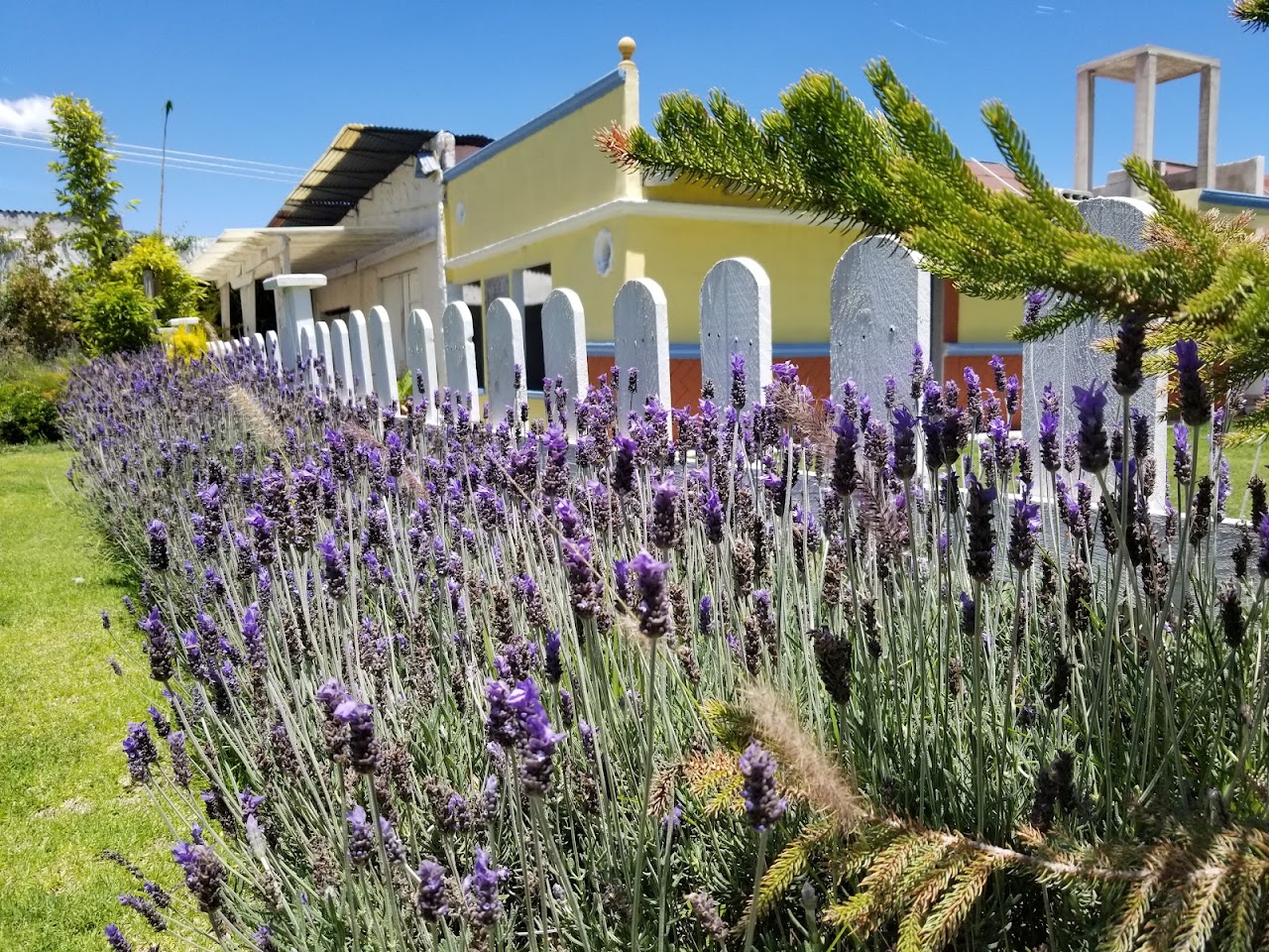Hotel Y Beer Garden "Quinta San Antonio"