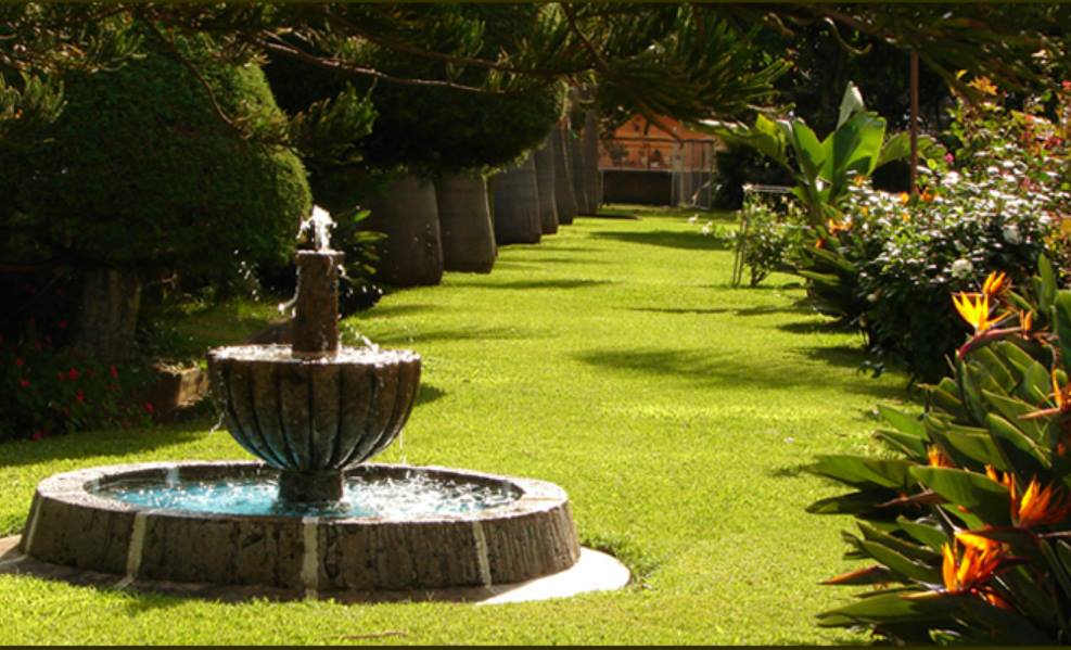 Hotel Los Cedros