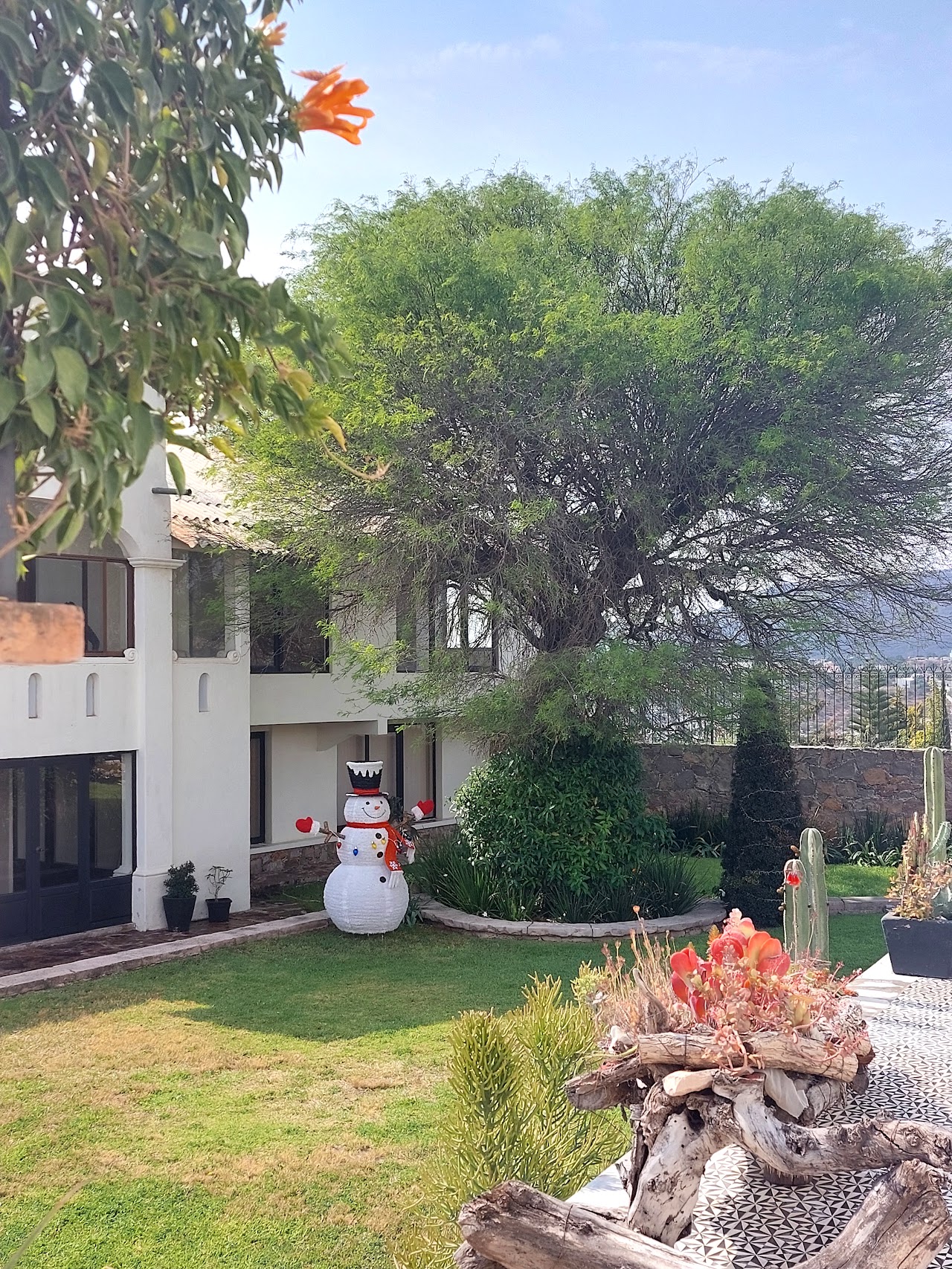 Casa Mineral