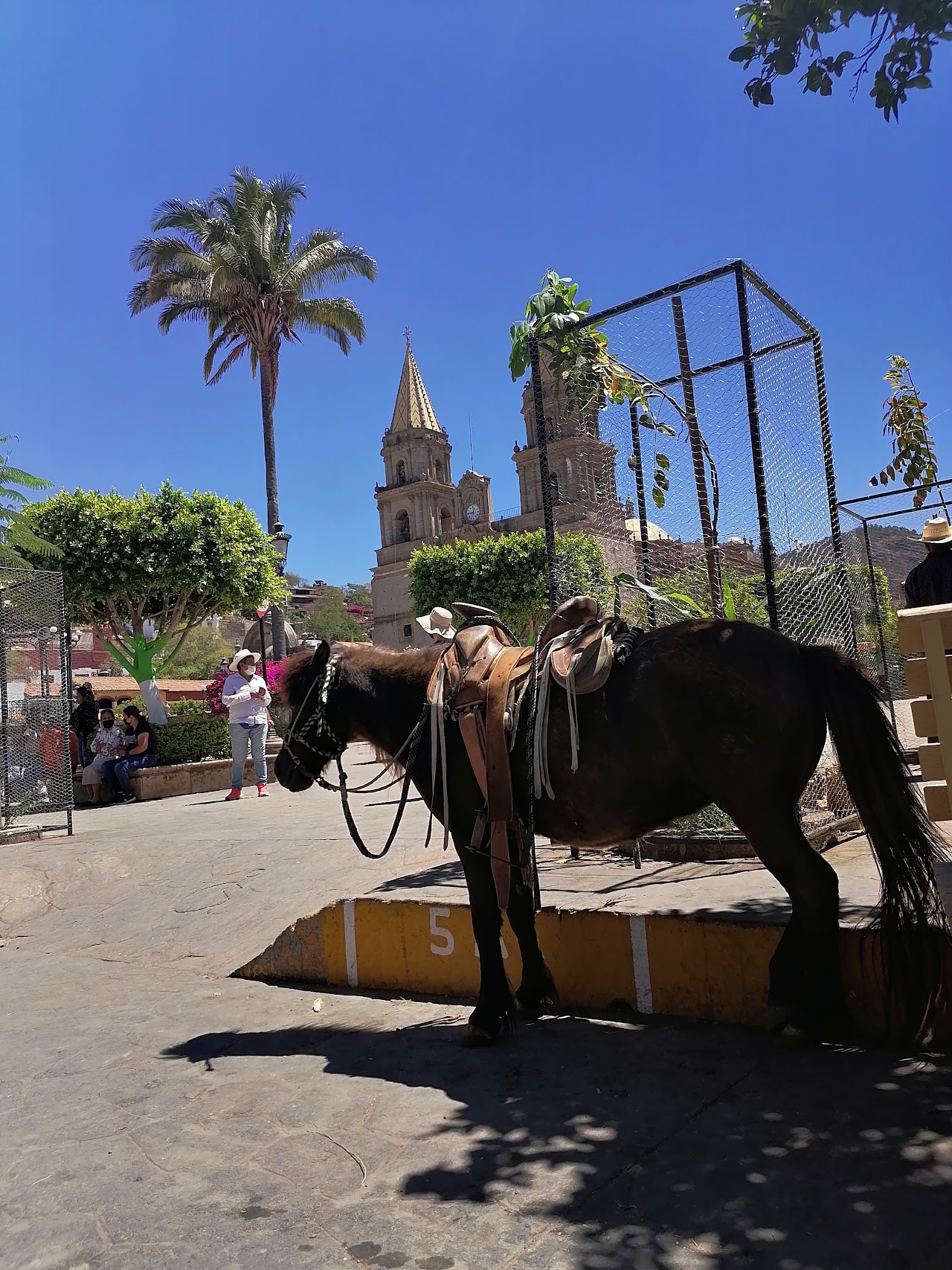 HOTEL PEDREGAL