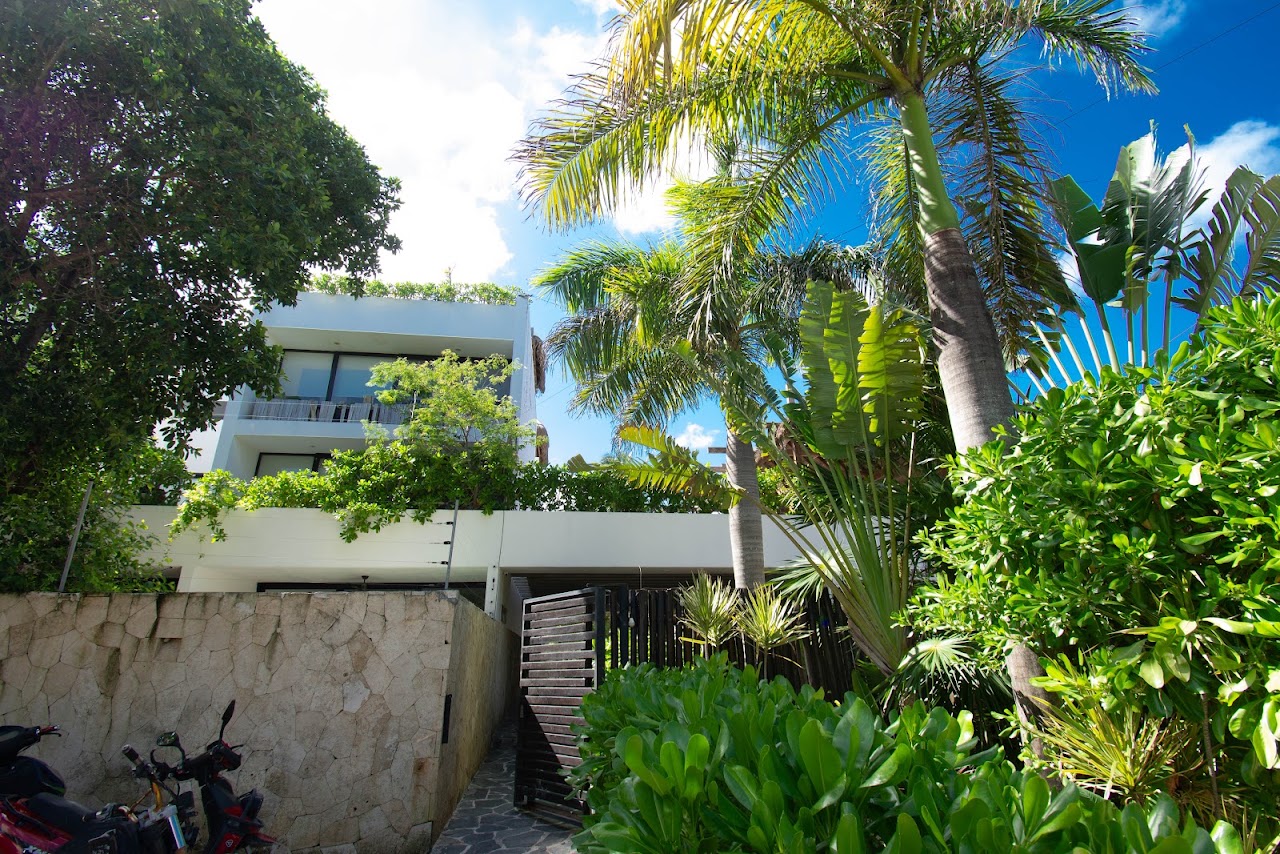 Saasil Tulum