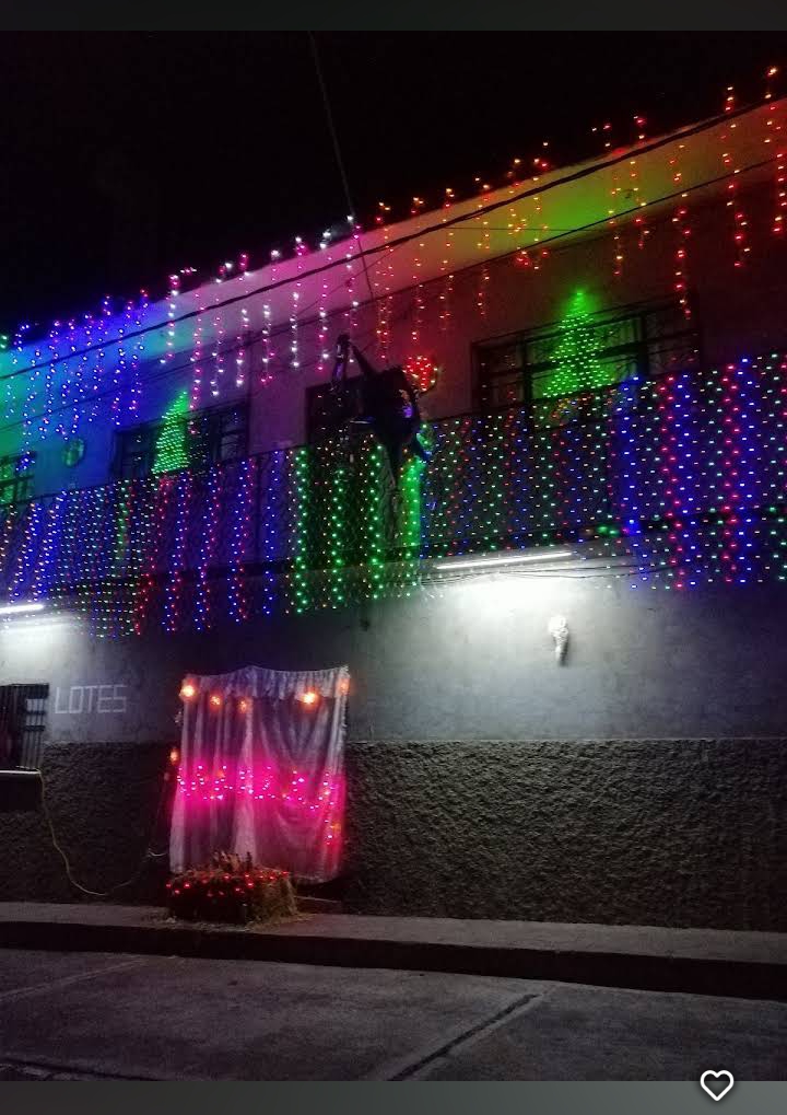 Hotel Venus