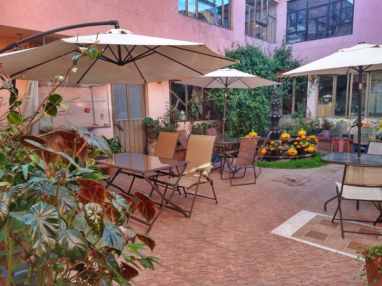 Hostal The Good Place: El Paraíso Magico